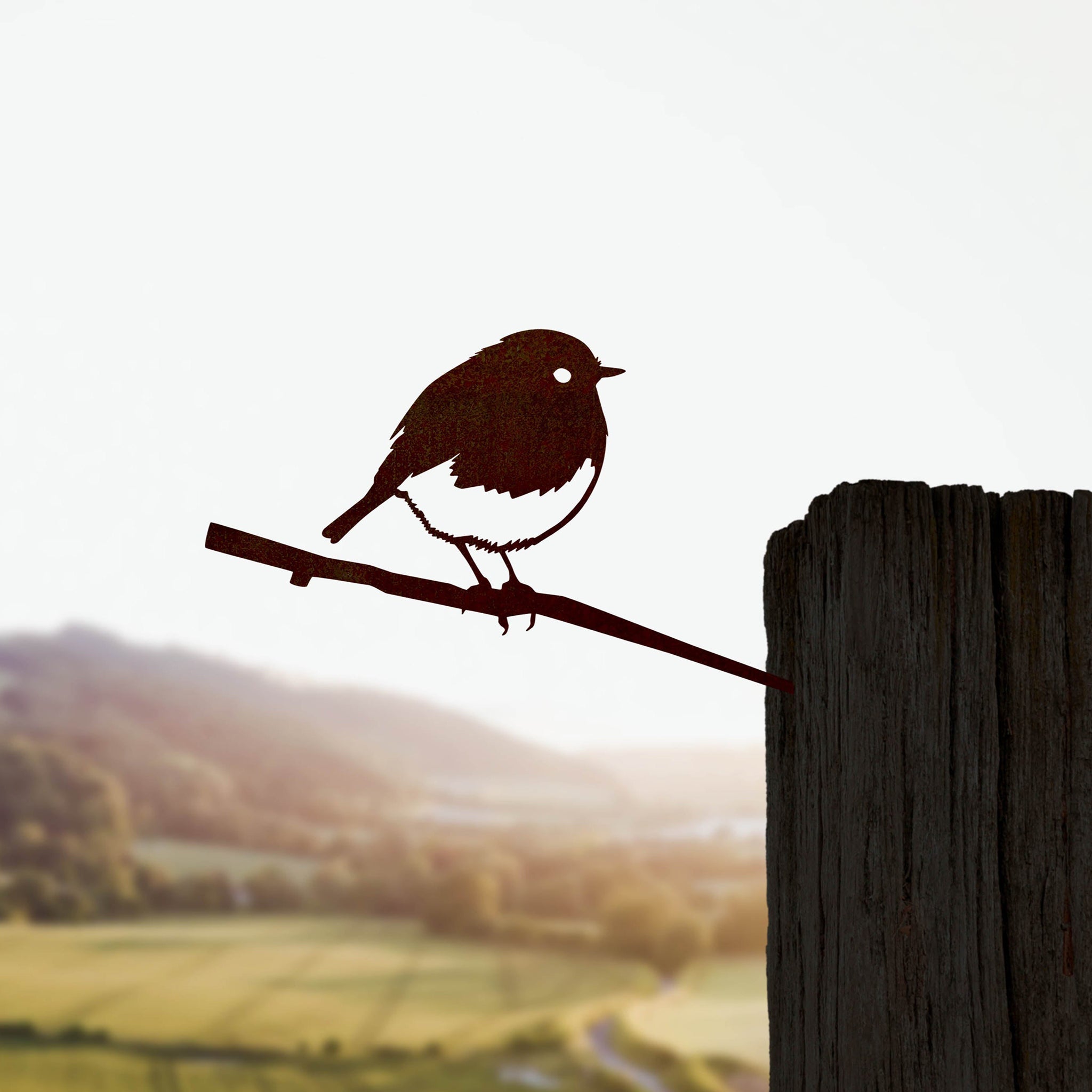 Steel metal bird silhouette and garden ornament in the shape of a robin.