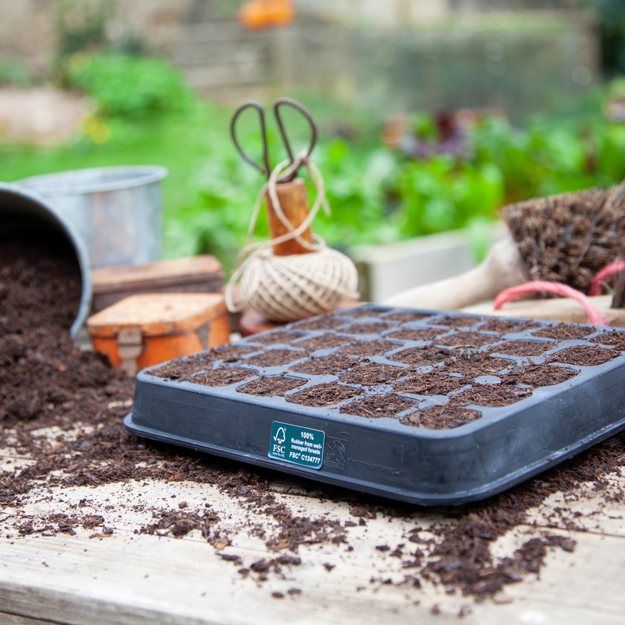 Six fresh green, plastic free plant pots made from FSC certified, fair trade natural rubber.