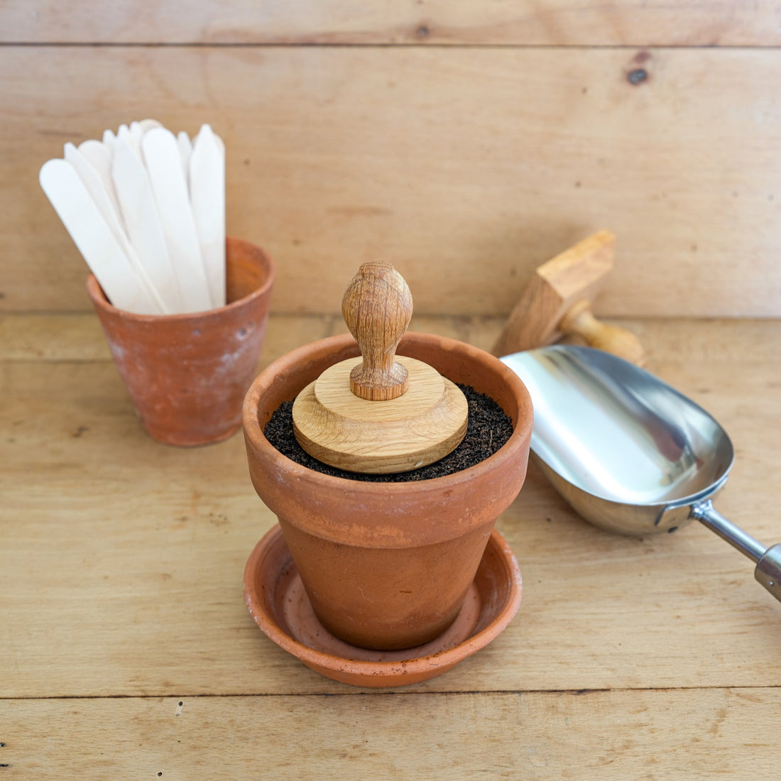Round, wooden tamper resting on some compost in a terracotta pot on a potting table filled with other gardening accessories..