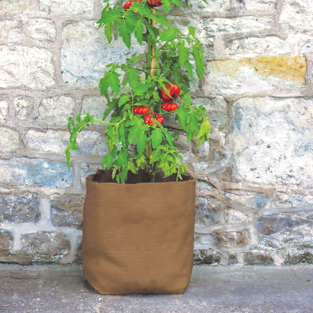 30 litre hemp fibre planter with tomatoes.