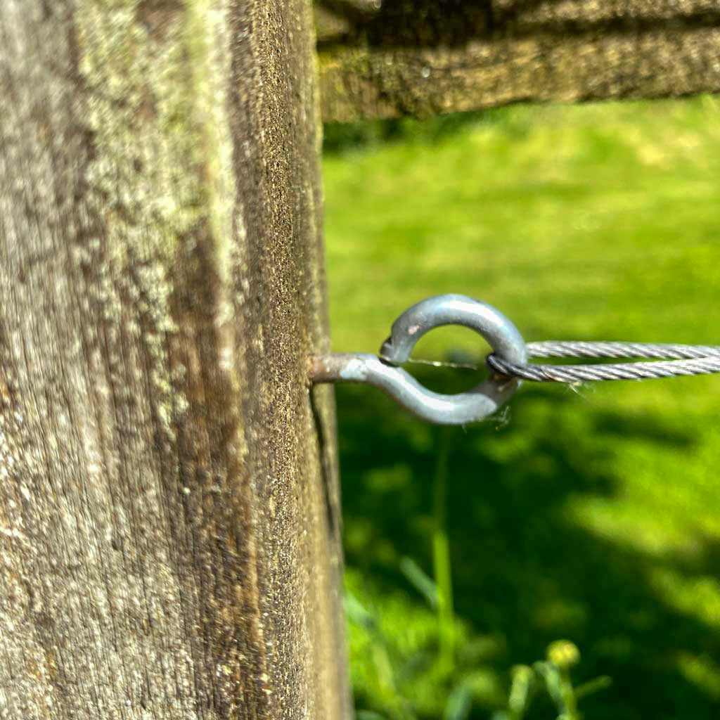 45mm zinc screw eye in fence.