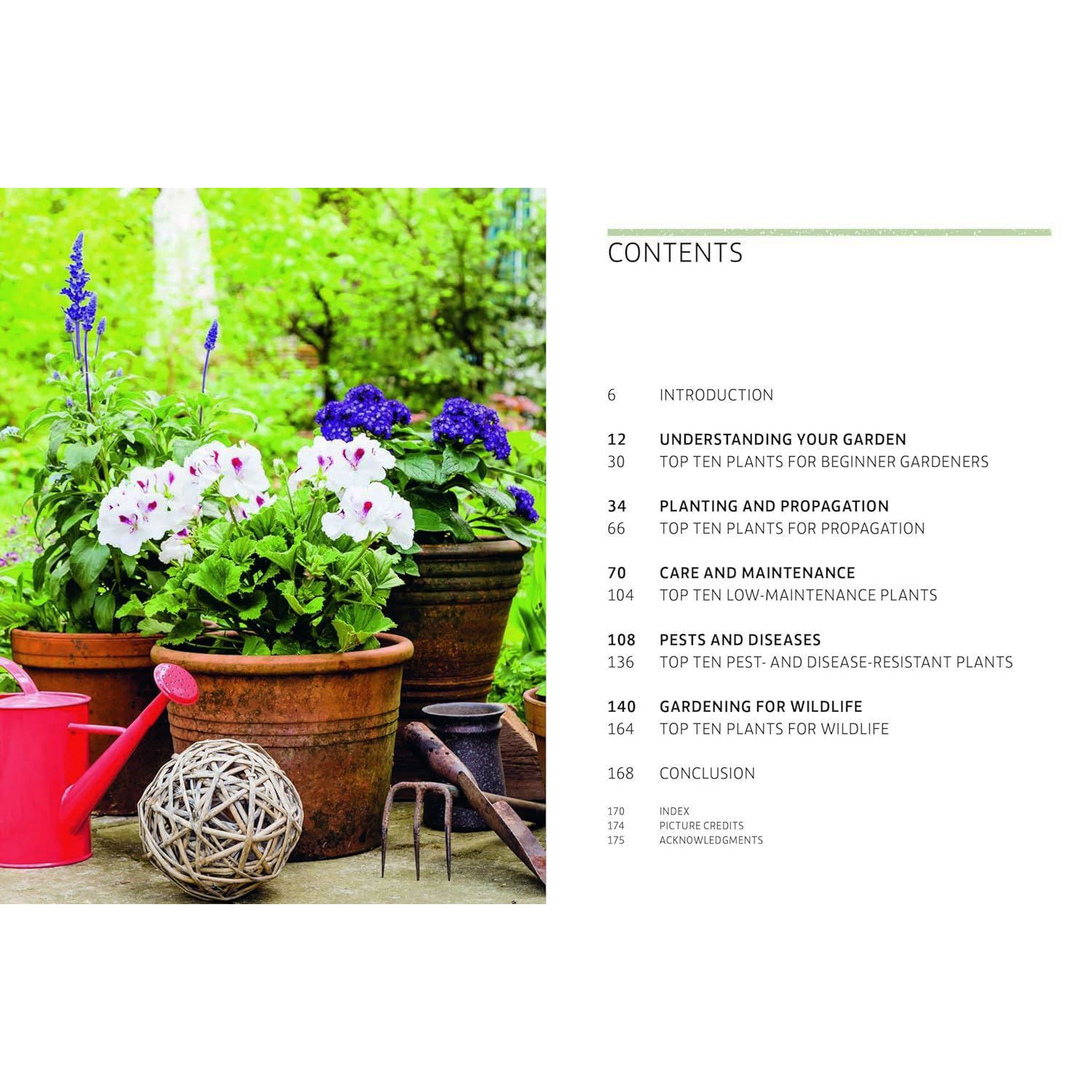 Kew Answers For Everyday Gardeners - Polly Stevens