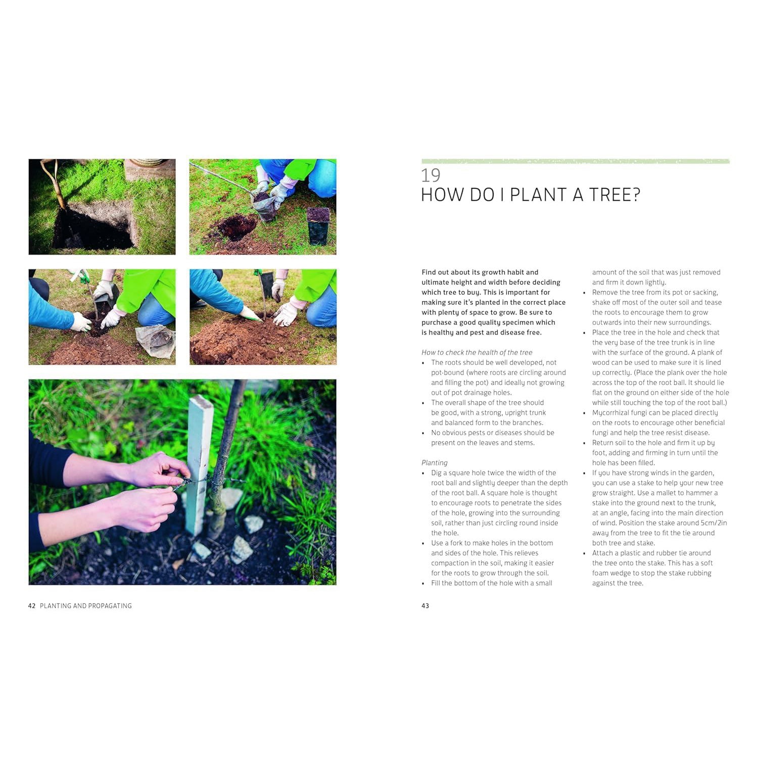 Kew Answers For Everyday Gardeners - Polly Stevens