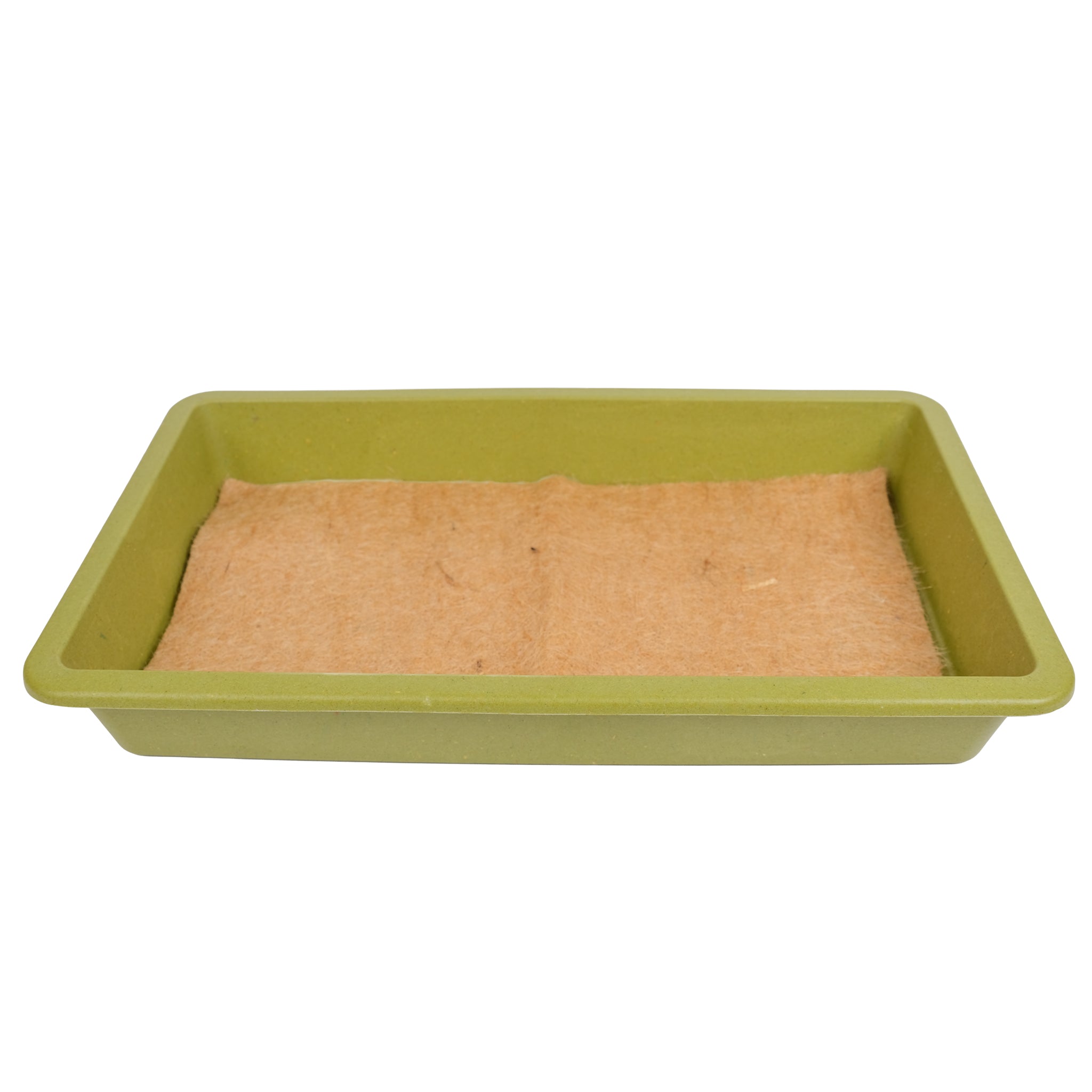 Bamboo seed tray with hemp microgreens growing mat.