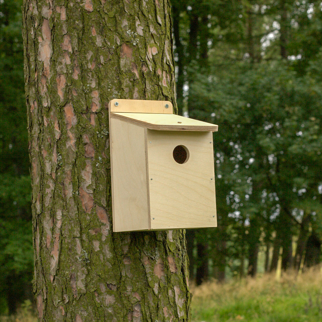 Bird nest box kit made of FSC certified plywood.