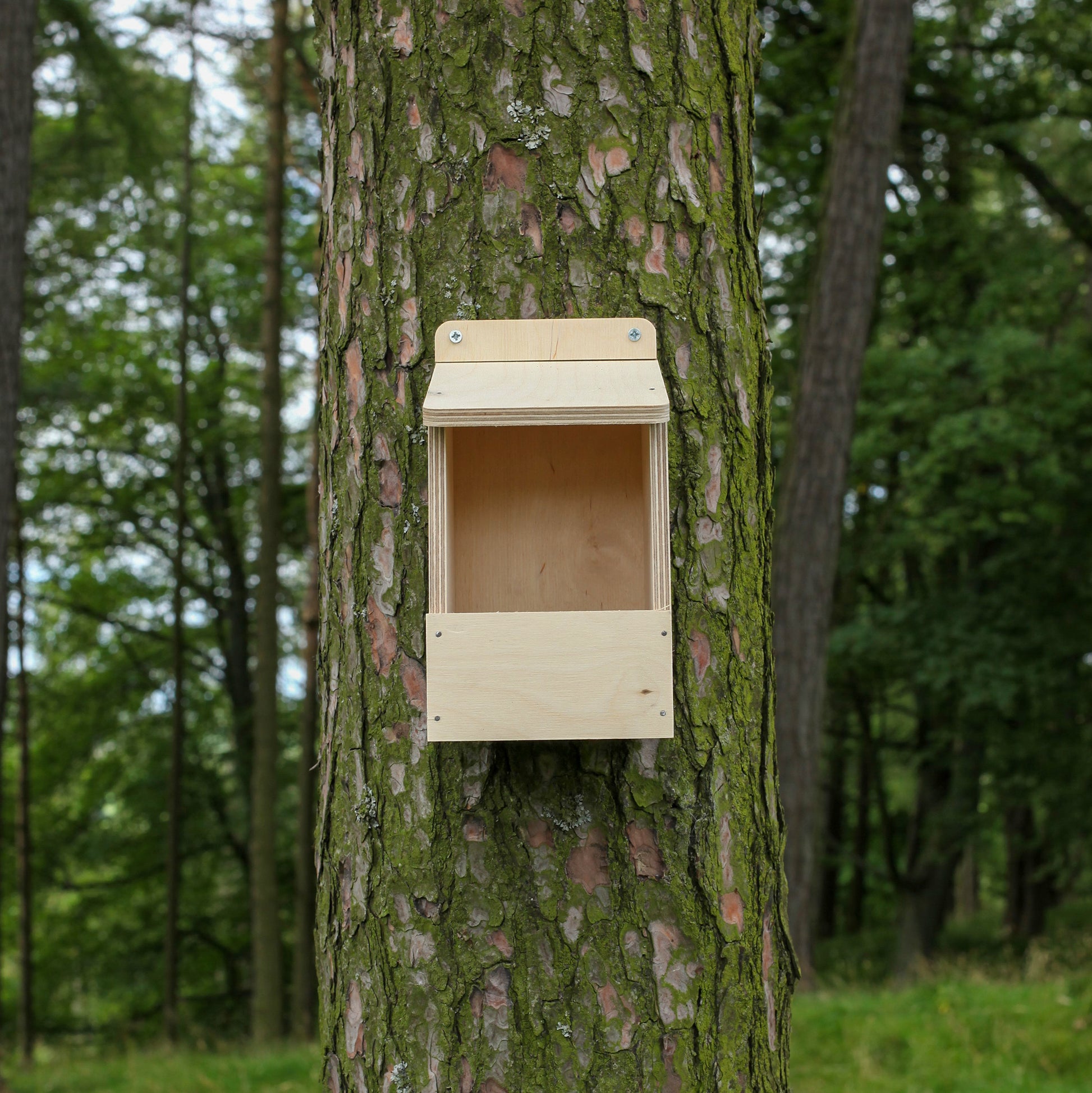 Open fronted bird nest box kit made of FSC certified plywood.