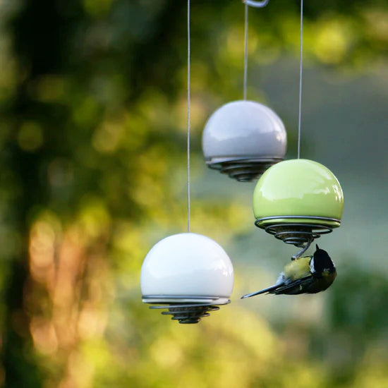 Birdball Belle Bird Feeders hanging from a tree with a bird feeding.