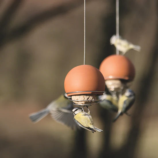 Terracotta Birdball Belle Bird Feeders hanging from a tree with birds feeding.