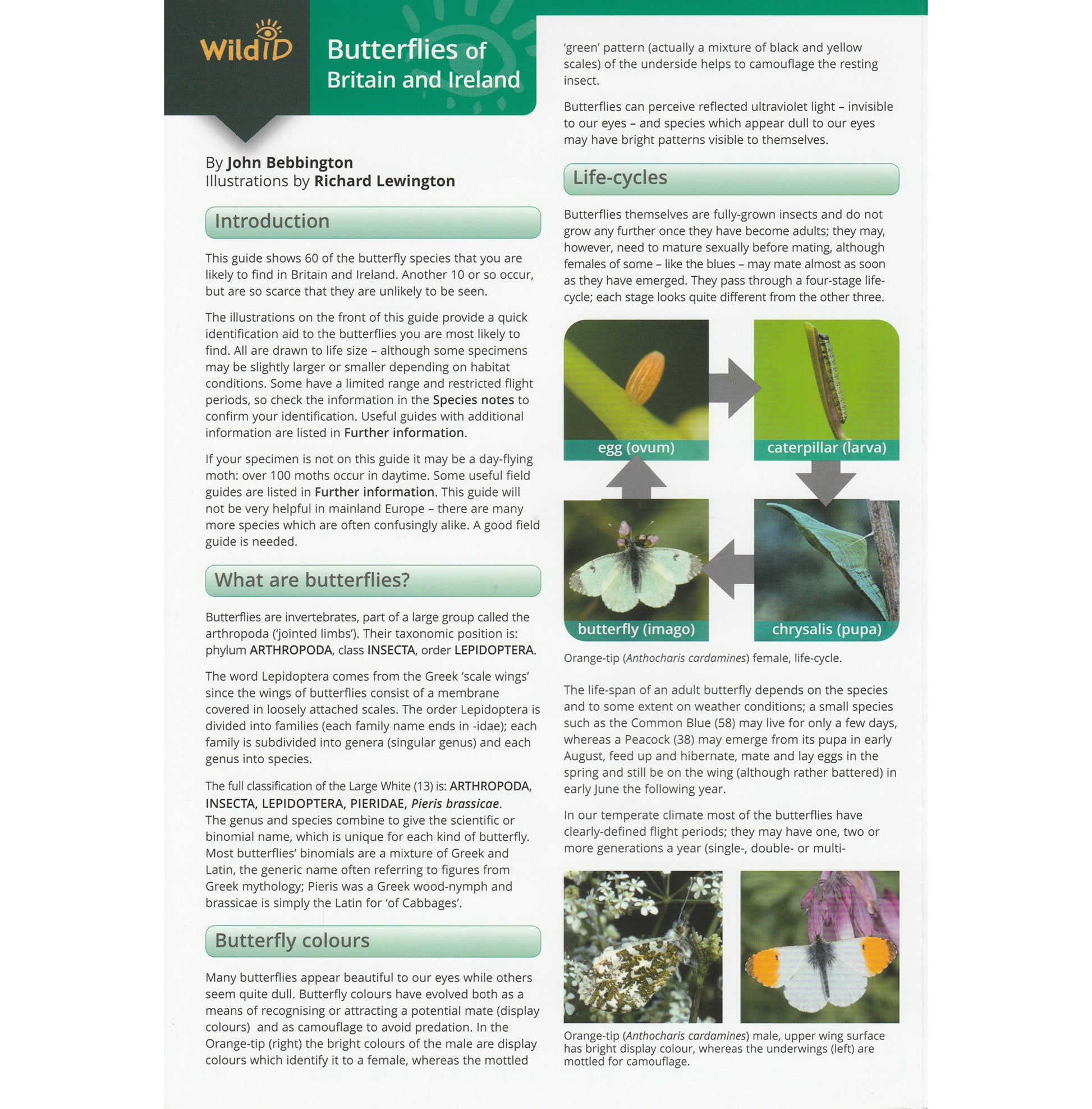 Illustrated fold out laminated guide to the sixty butterflies of Britain and Ireland.