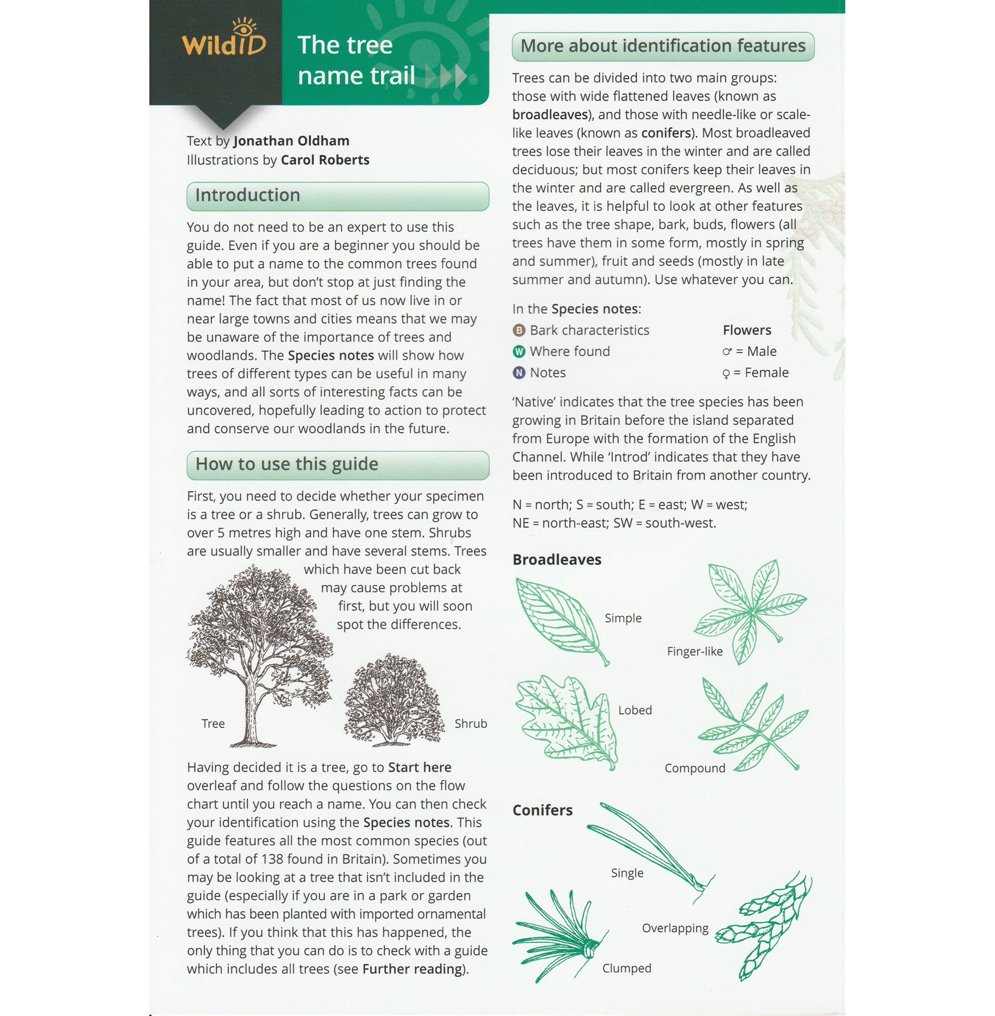 Illustrated fold out laminated guide to the common trees of Great Britain and Ireland.