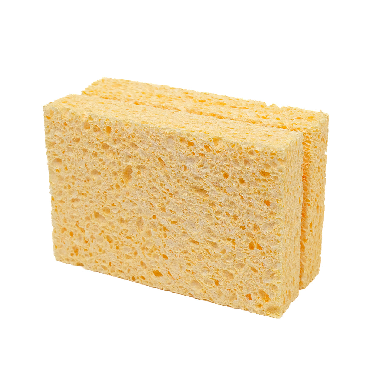 Two large compostable sponges.