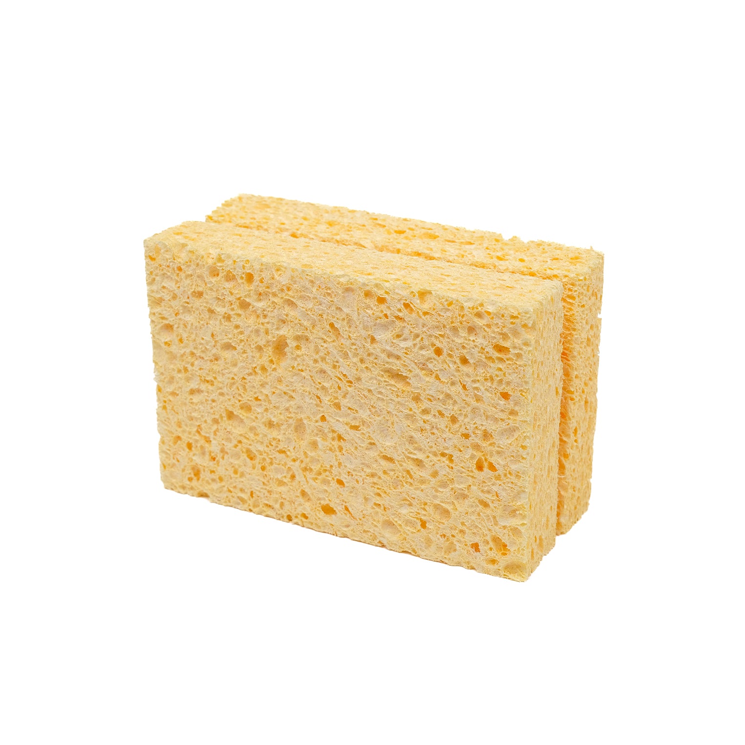 Two large, compostable sponges.