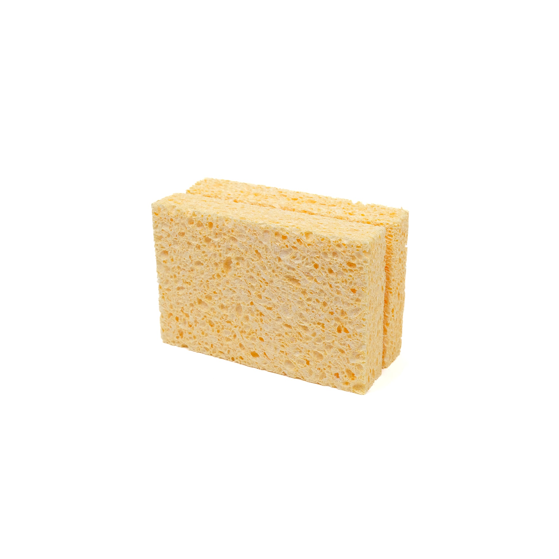 Two large compostable sponges made of natural materials.