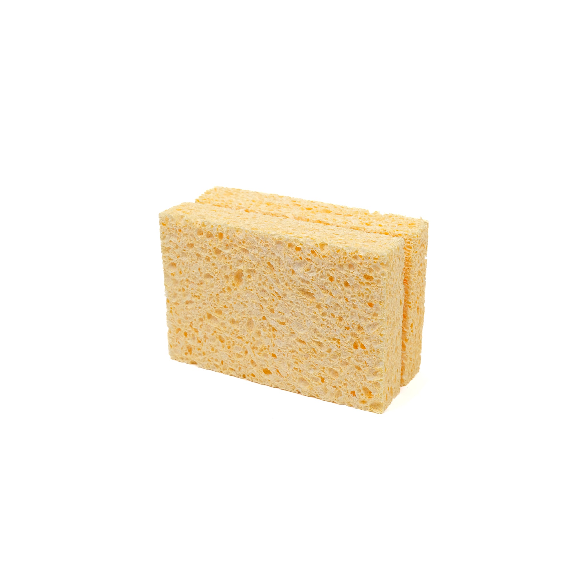 Two large compostable sponges made of natural materials.