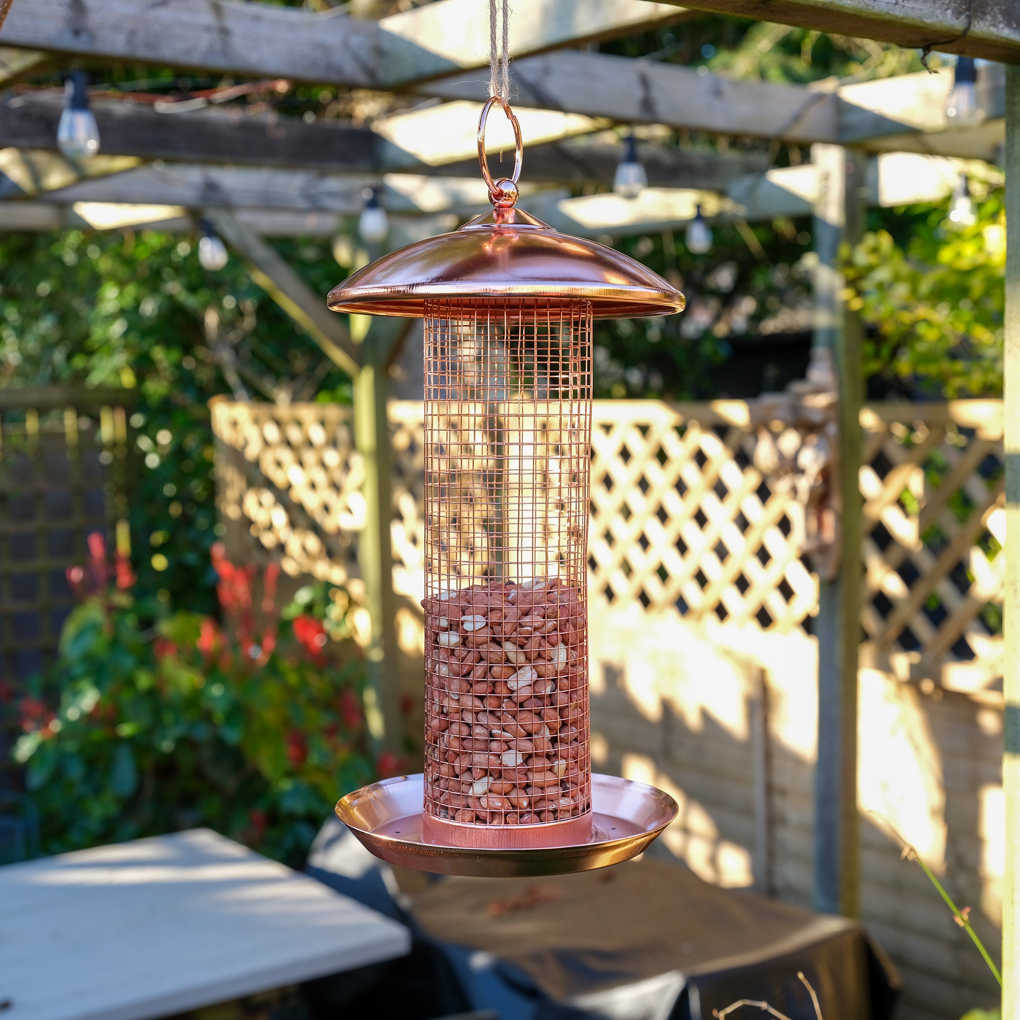 Copper plated nut bird feeder hanging from a pergola.