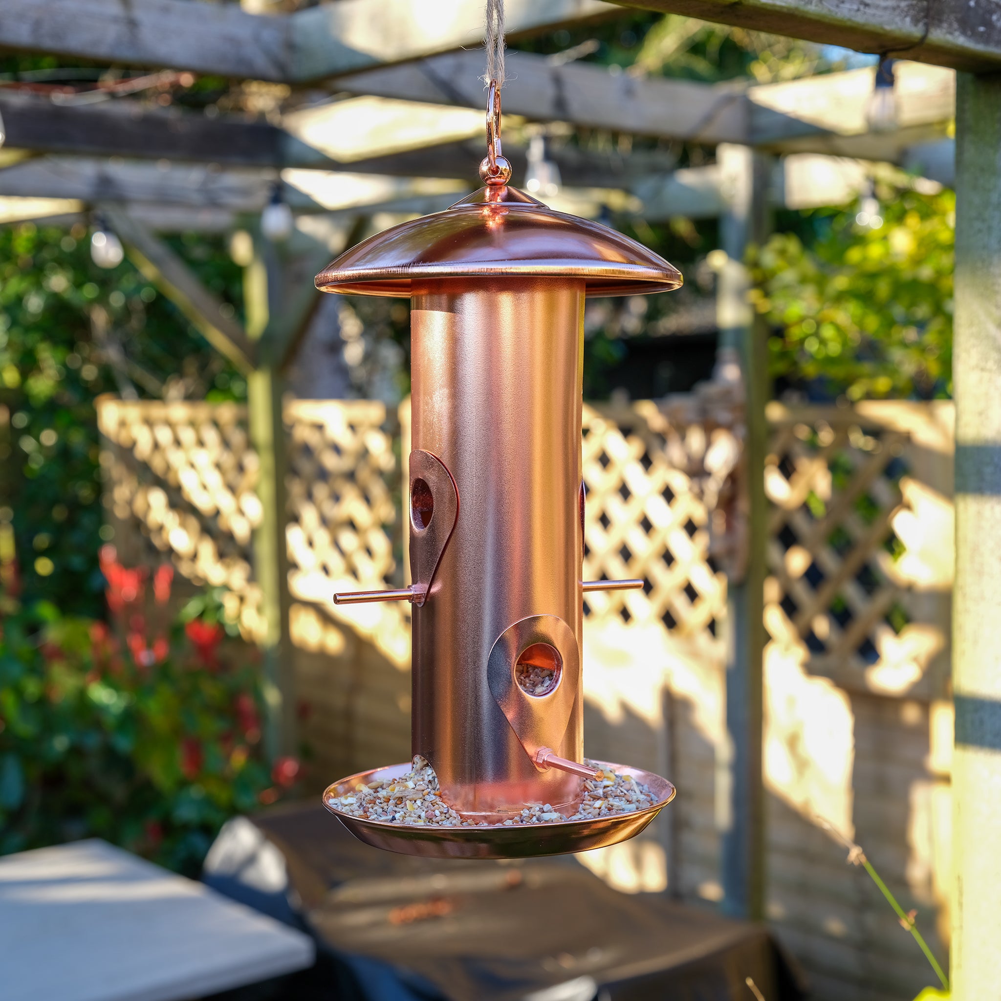 Copper plated seed bird feeder hanging from a pergola.