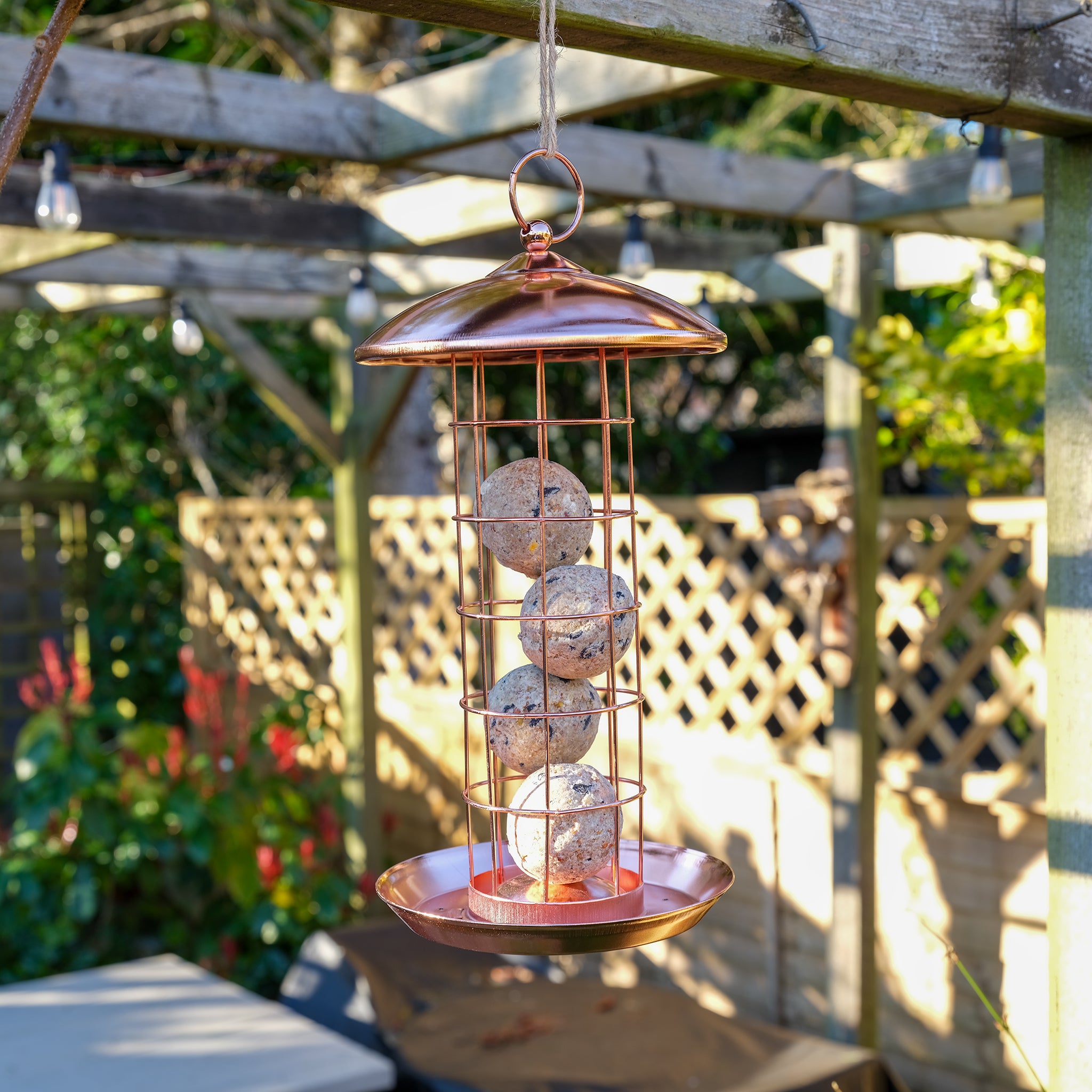 Copper plated suet ball bird feeder hanging from a pergola.