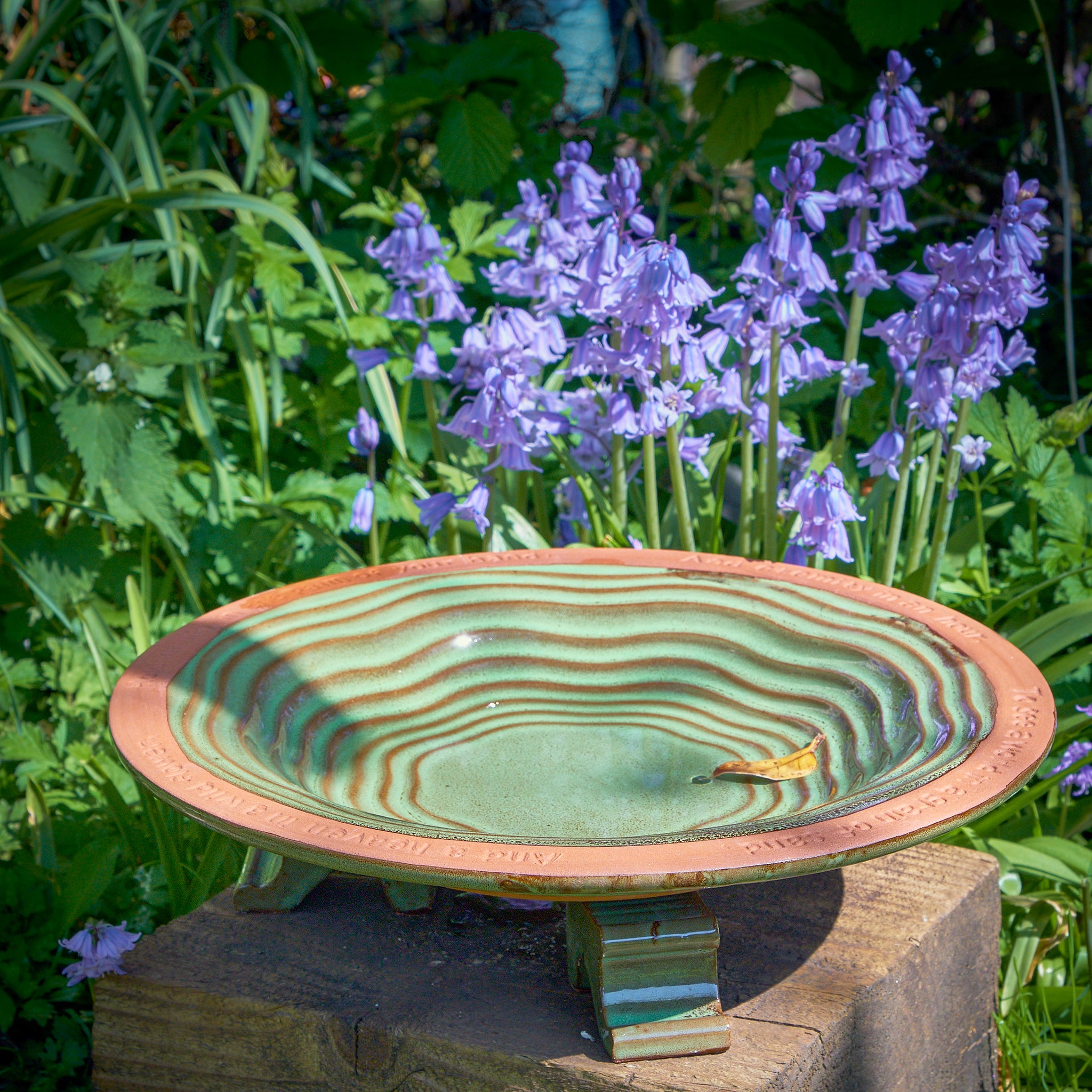 The Echoes Bird Bath on a raised wooden surface and next to a patch of bluebells.