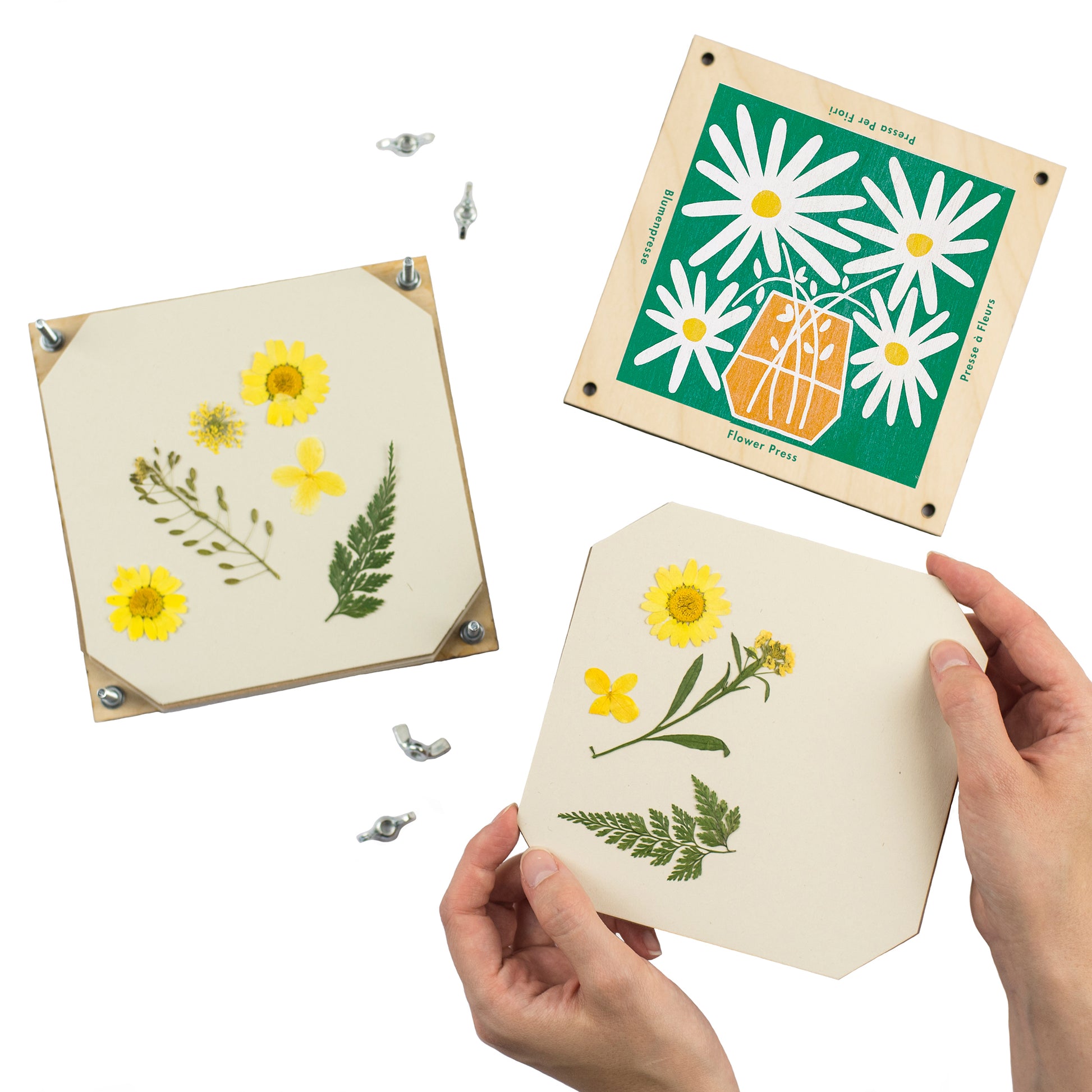 Daisy design flower press made of sustainably sourced board.