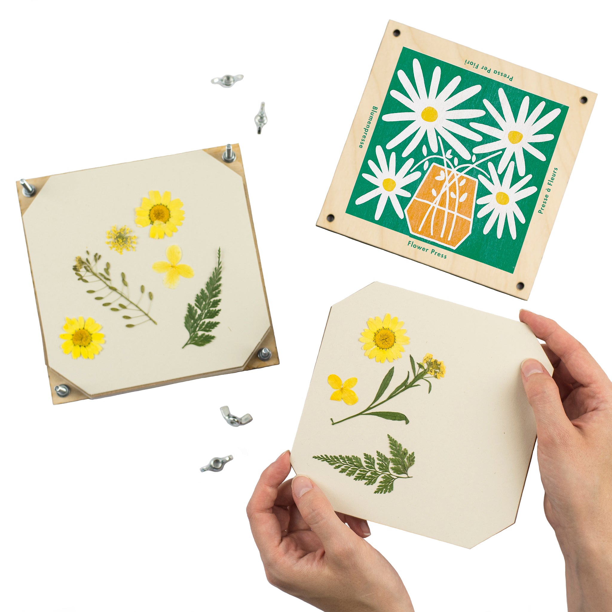 Daisy design flower press made of sustainably sourced board.