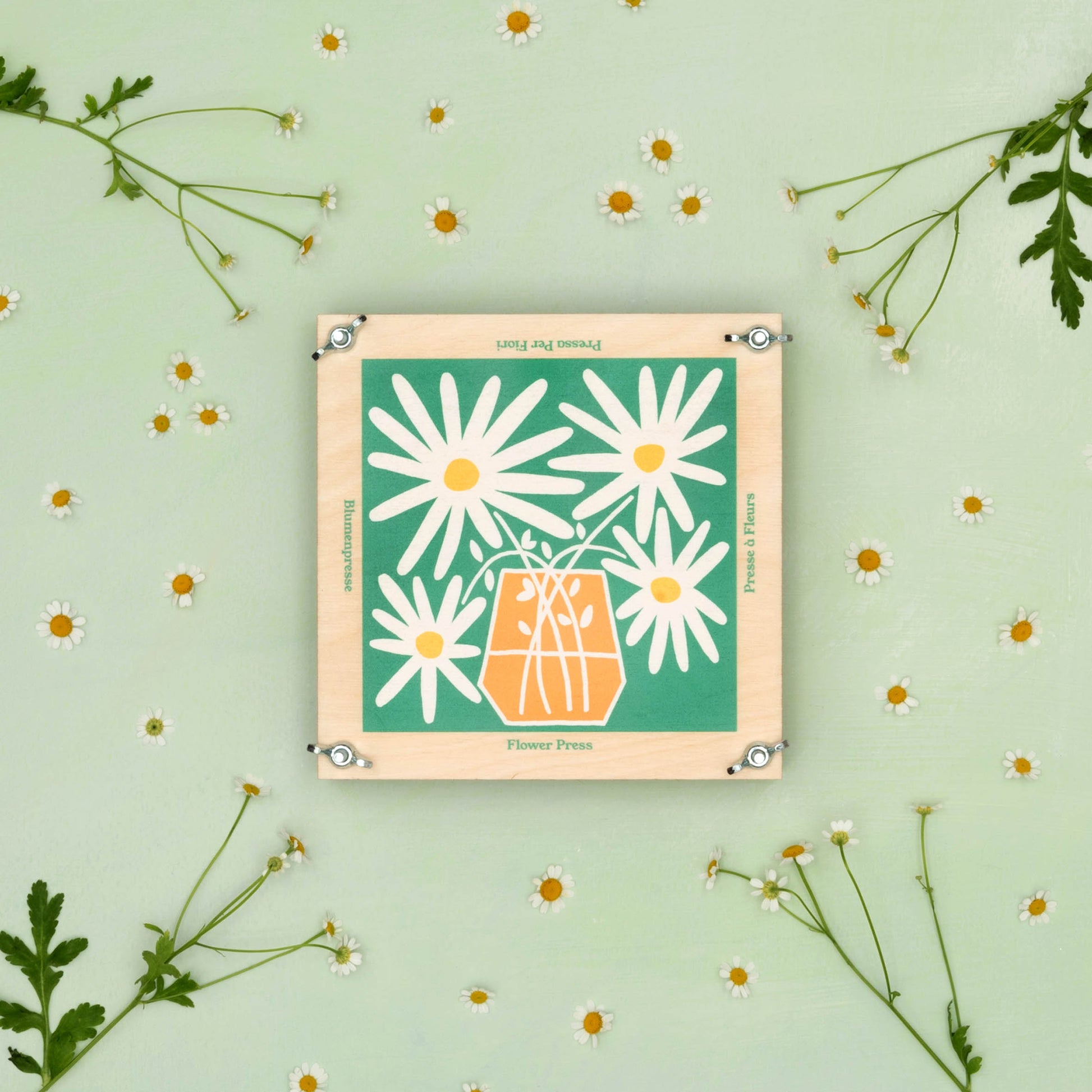 Daisy design flower press made of sustainably sourced board.