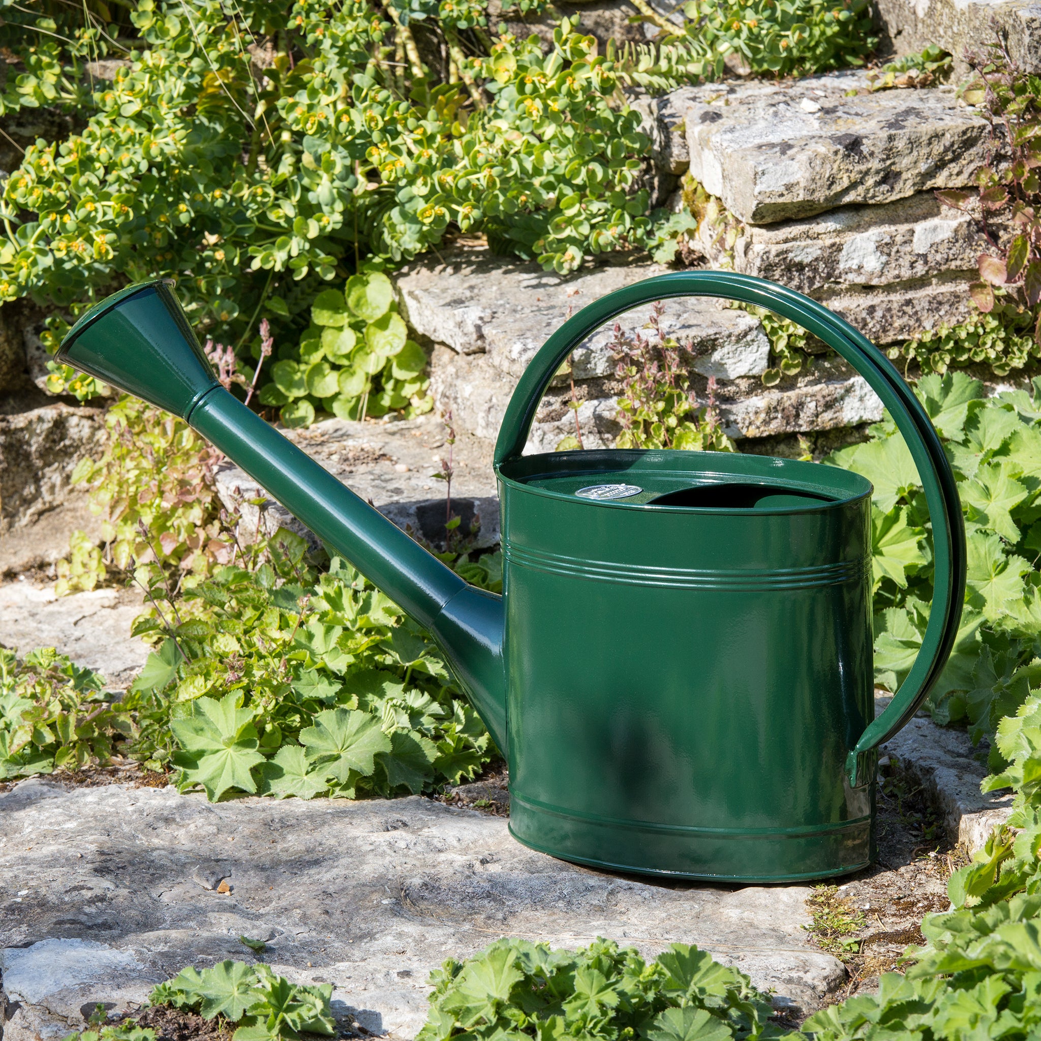 5 litre watering can in British Racing Green  placed on a large stone outside with green foliage behind it.