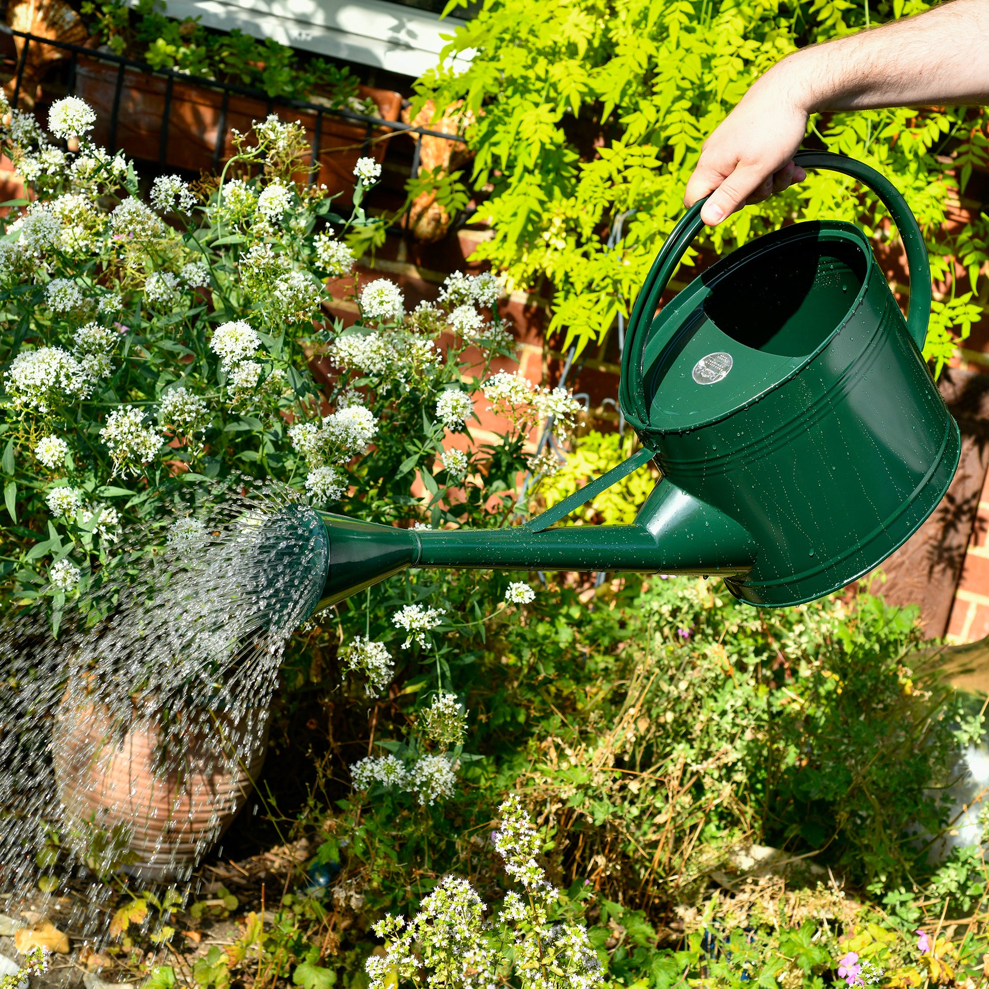 9 litre watering can in British Racing Green outside being used to pour water onto plants in a garden.