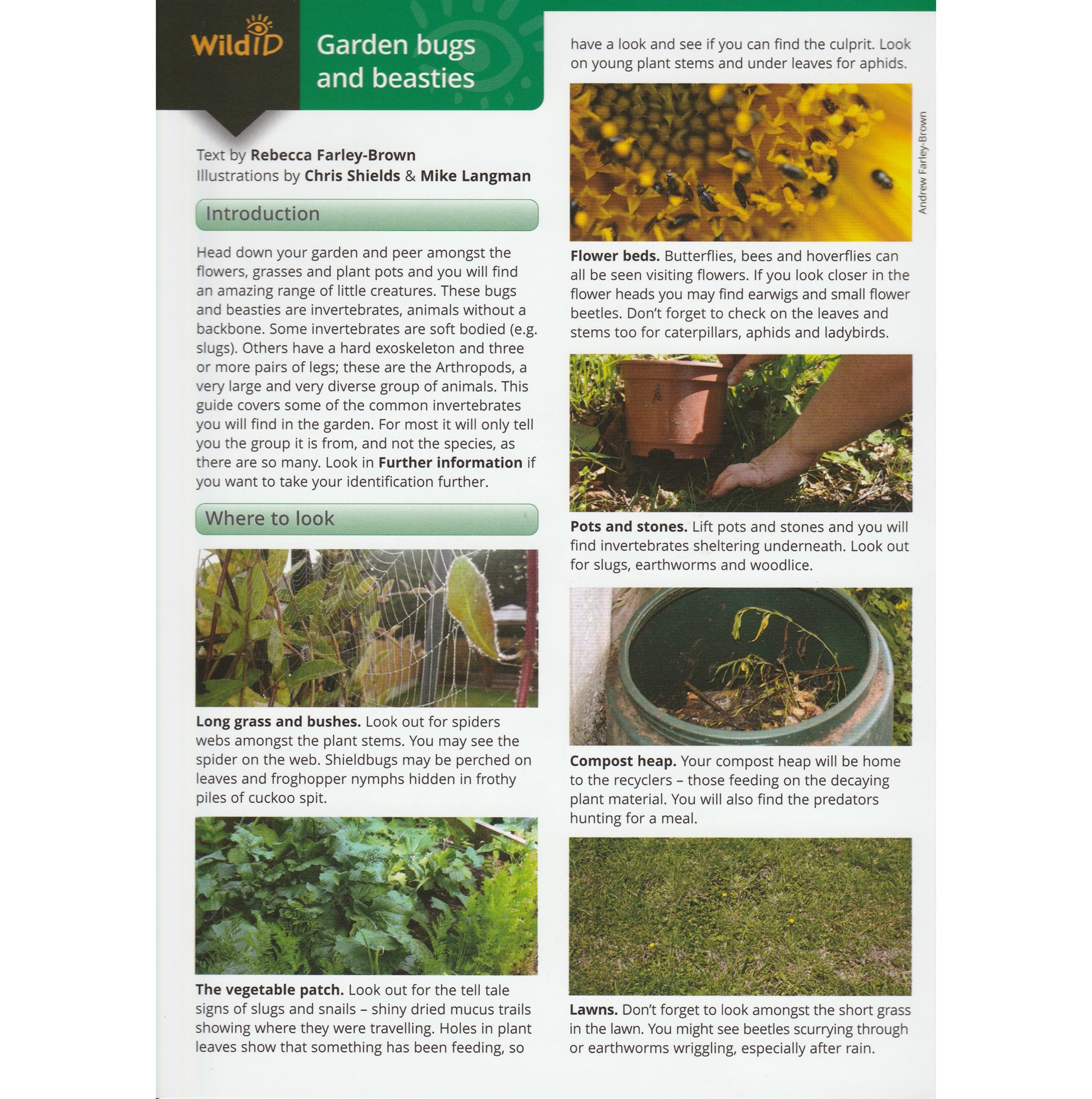 Illustrated fold out laminated guide to the most common garden bugs and beasties.
