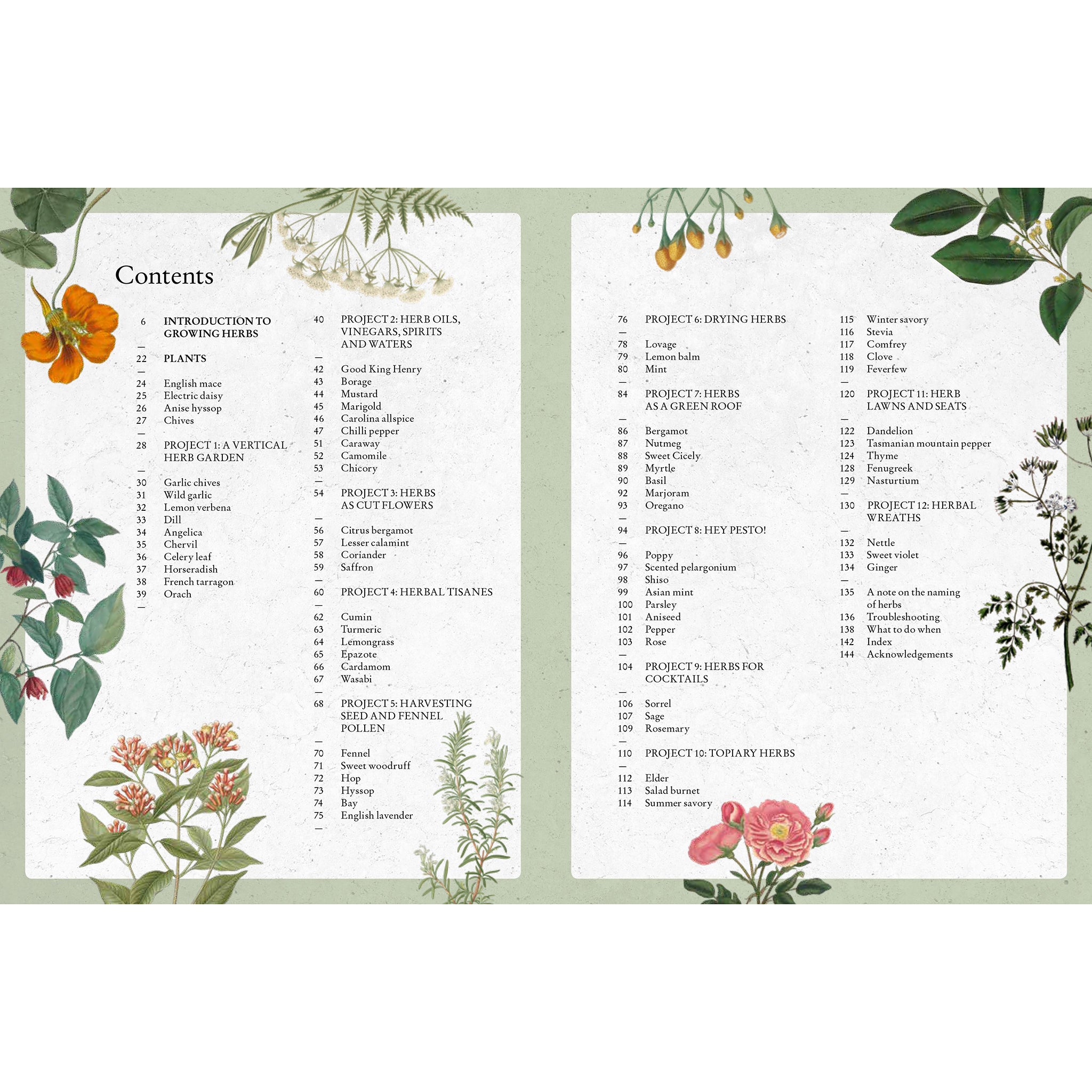 The Kew Gardener's Guide To Growing Herbs - Holly Farrell