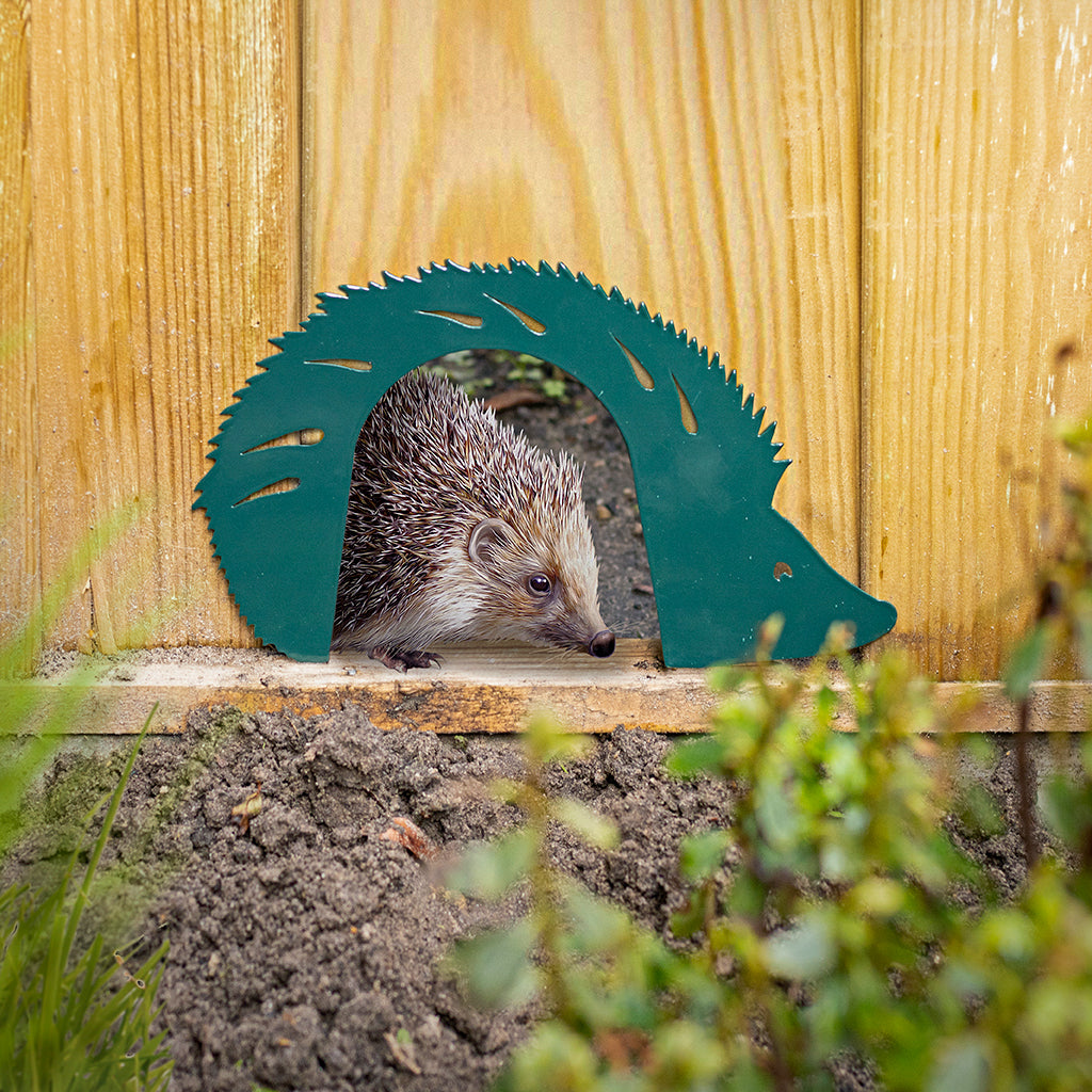Glossy, green hedgehog highway gate installed in a fence being and used by a hedgehog.