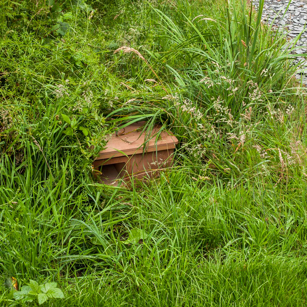Hedgehog nest box hidden amongst grass. Made of FSC certified plywood.