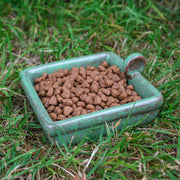 Hedgehog snack bowl with hedgehog food.