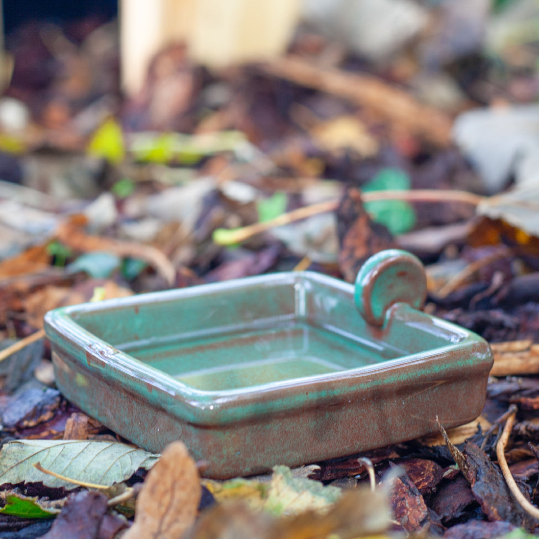 The Hedgehog Water Bowl on the ground with a small amount of water in it.