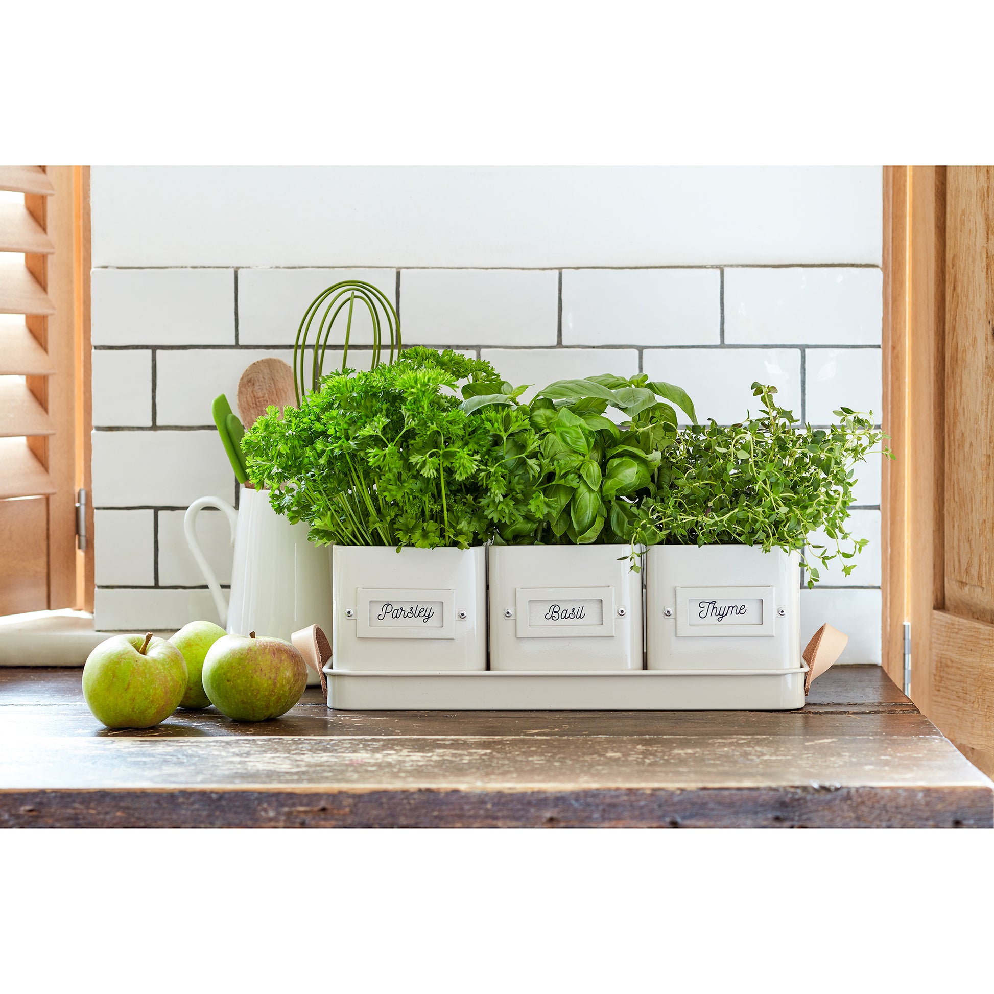 Three labelled herb pots on a tray filled with herbs and placed on a kitchen worktop surface.