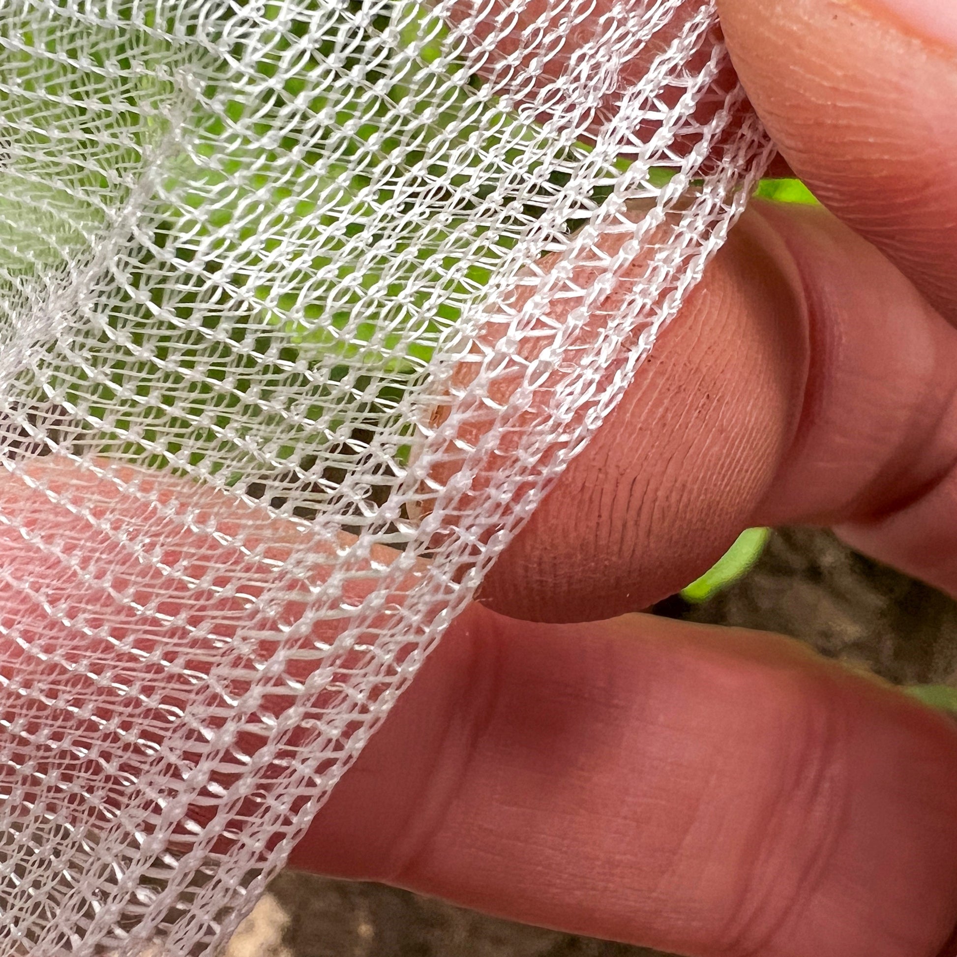 Close up of insect net mesh.