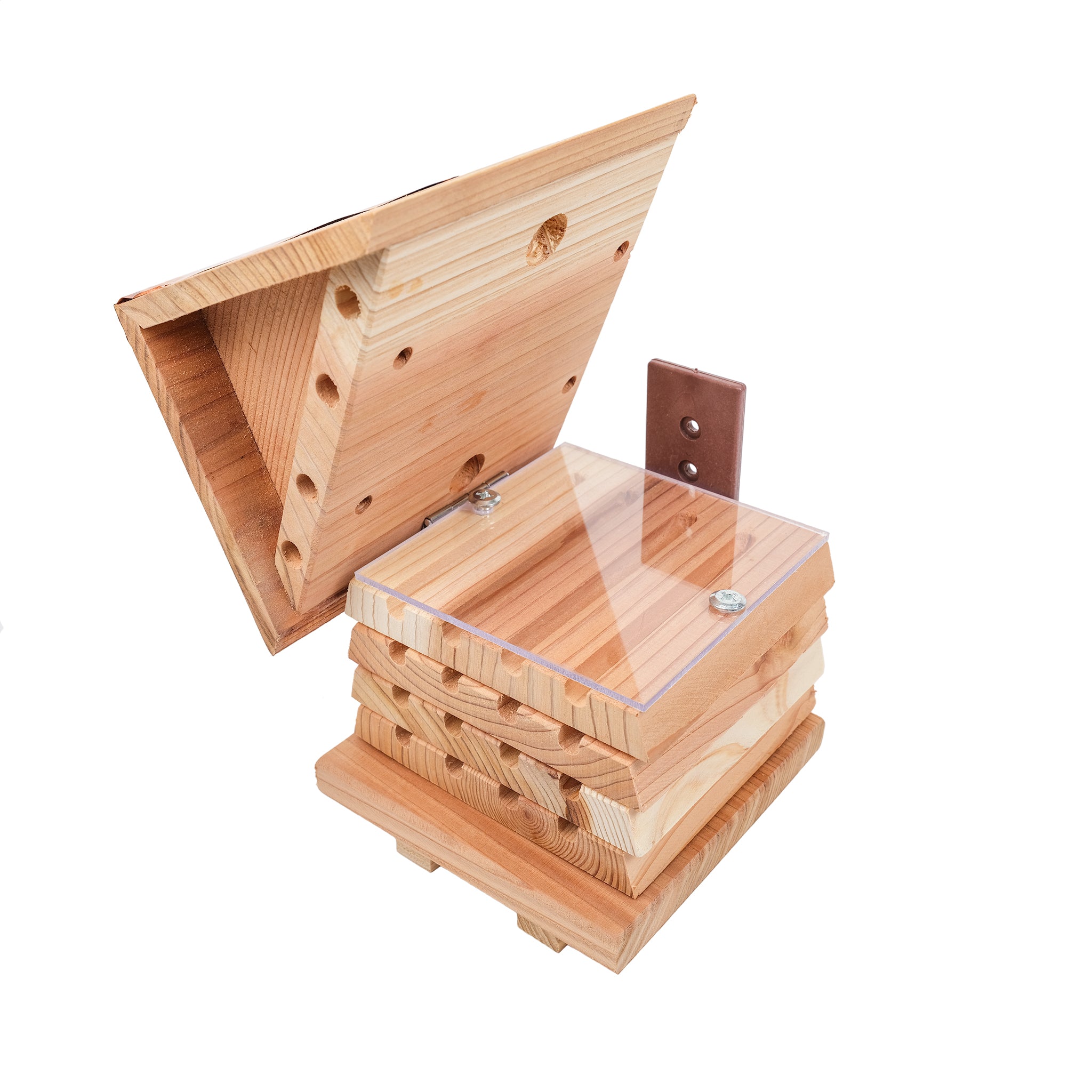 Interactive Solitary Beehive with lid open.