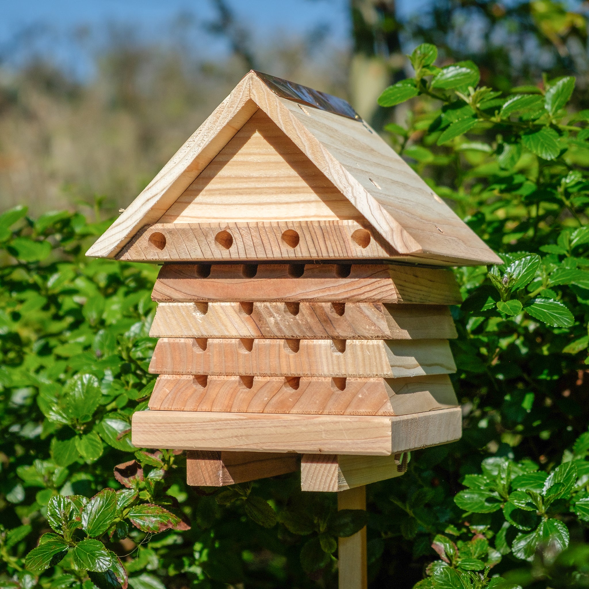 Interactive Solitary Beehive mounted on a wooden pole.