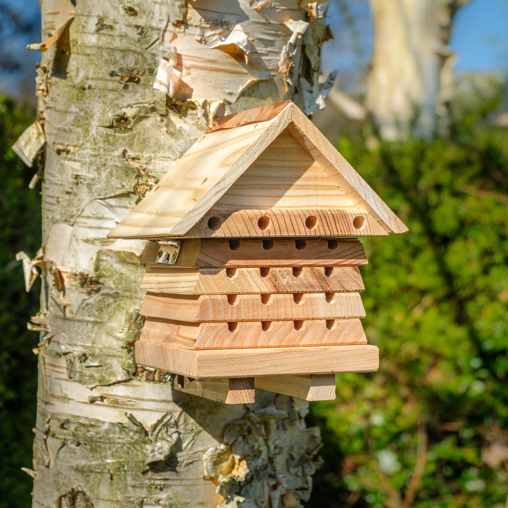 Interactive Solitary Beehive mounted on a tree.