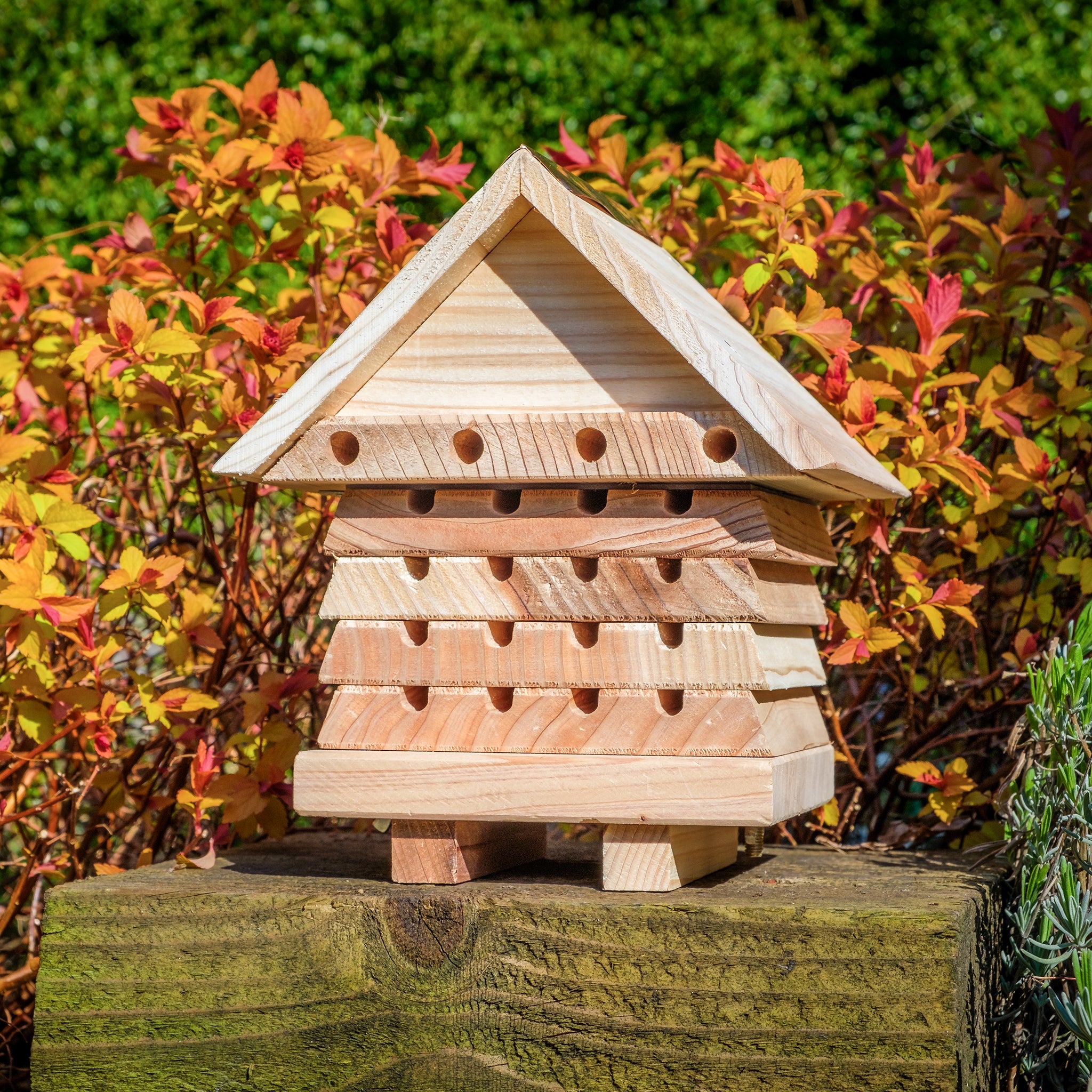 Interactive Solitary Beehive sitting on a raised wooden platform.