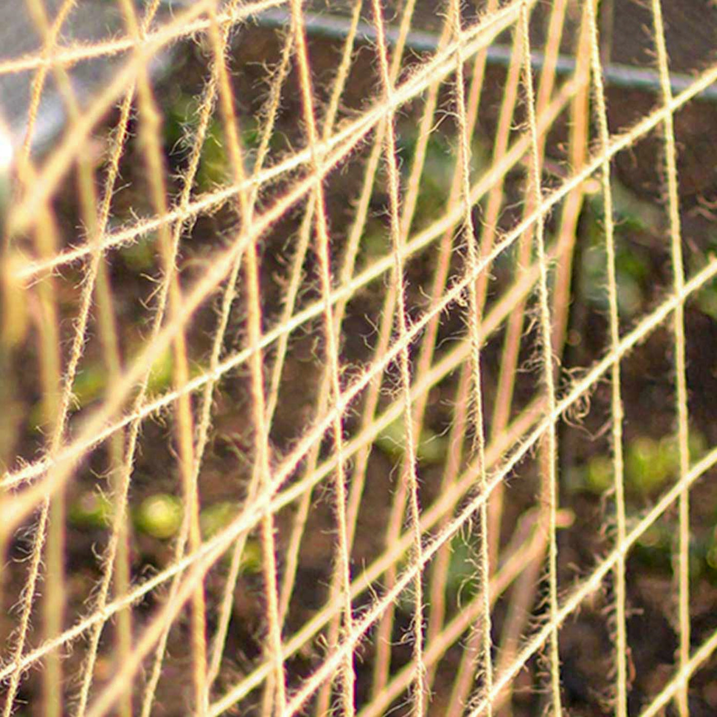 Jute plant support netting.