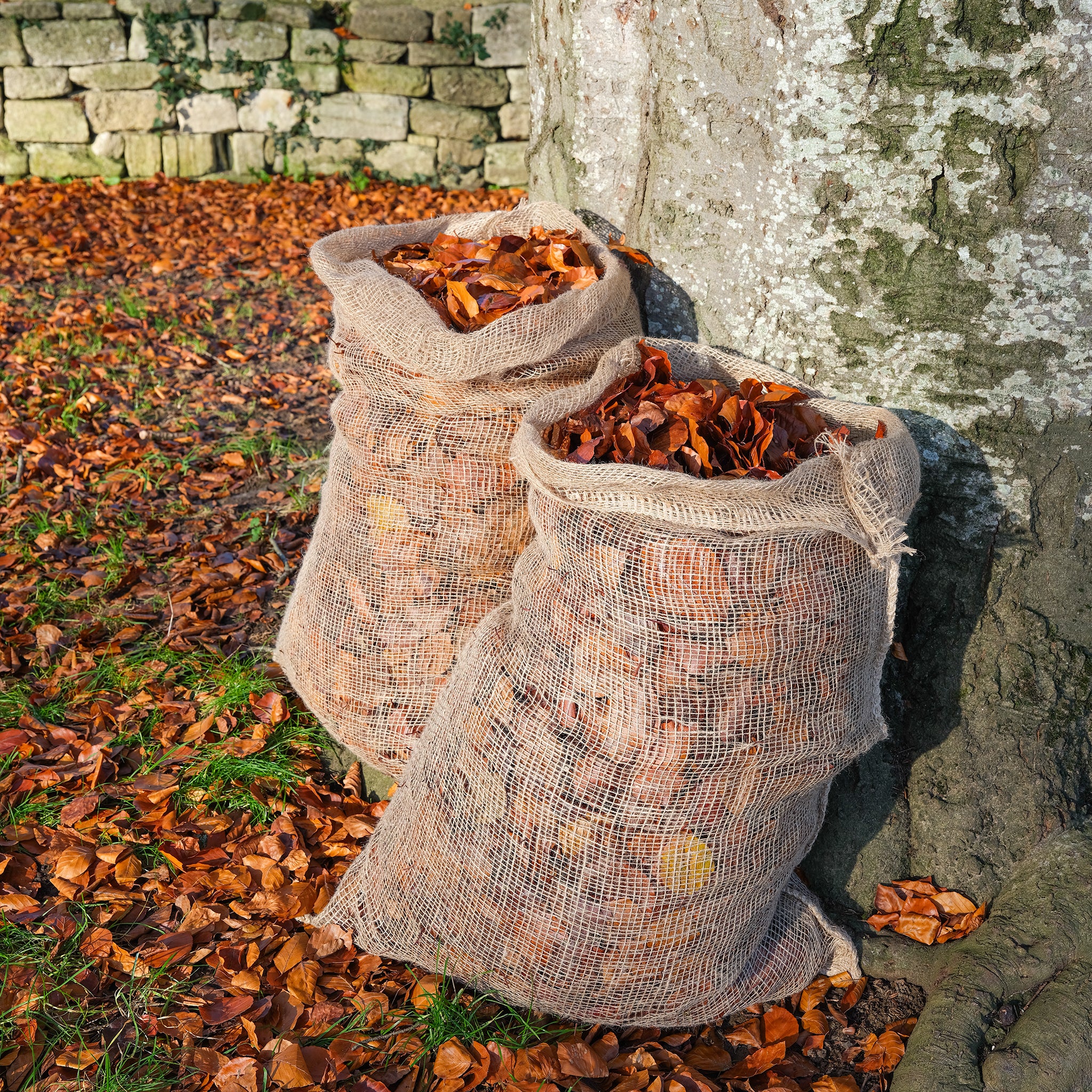 Pack of two jute leaf composting sacks. Use to make high quality mulch for your garden.