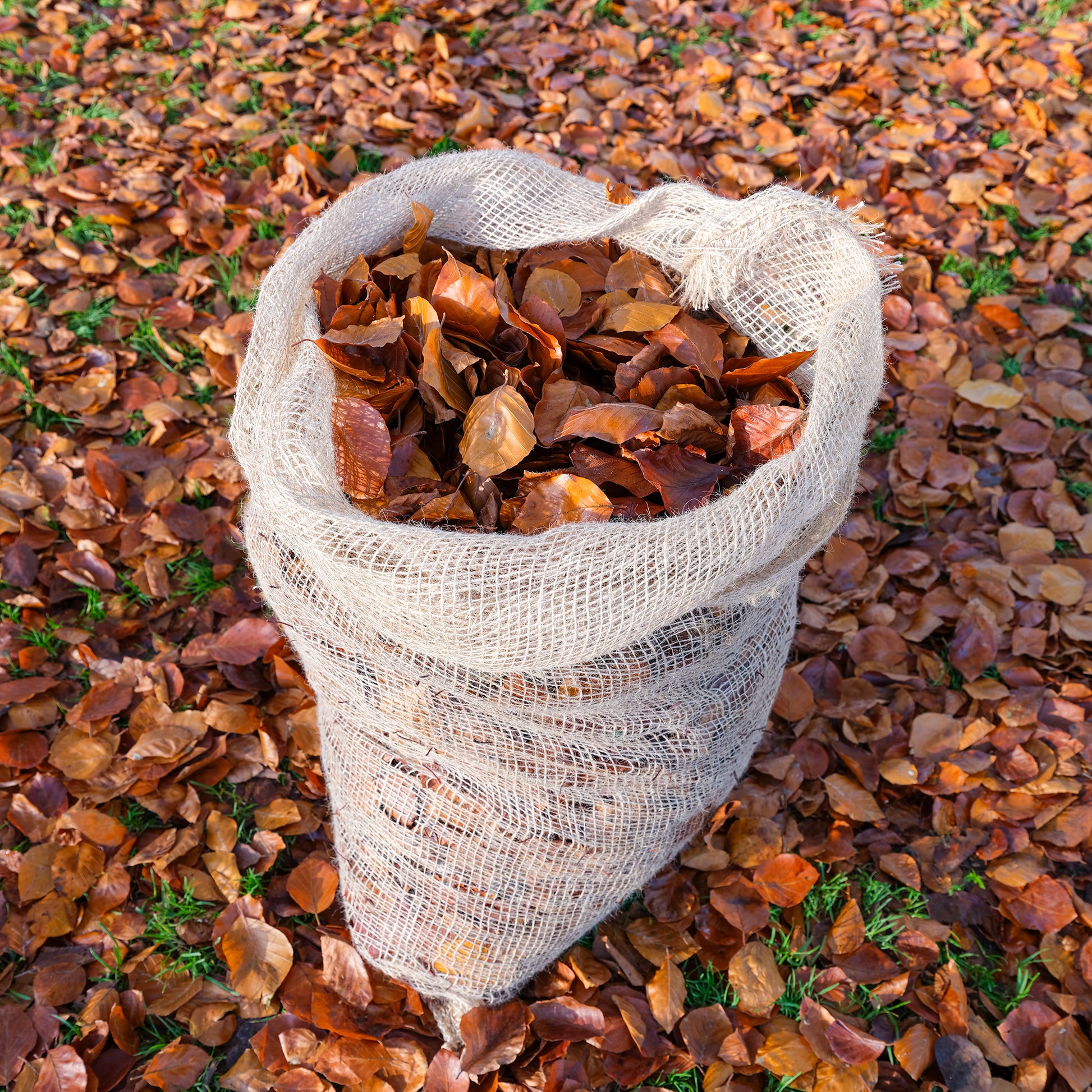 Pack of two jute leaf composting sacks. Use to make high quality mulch for your garden.