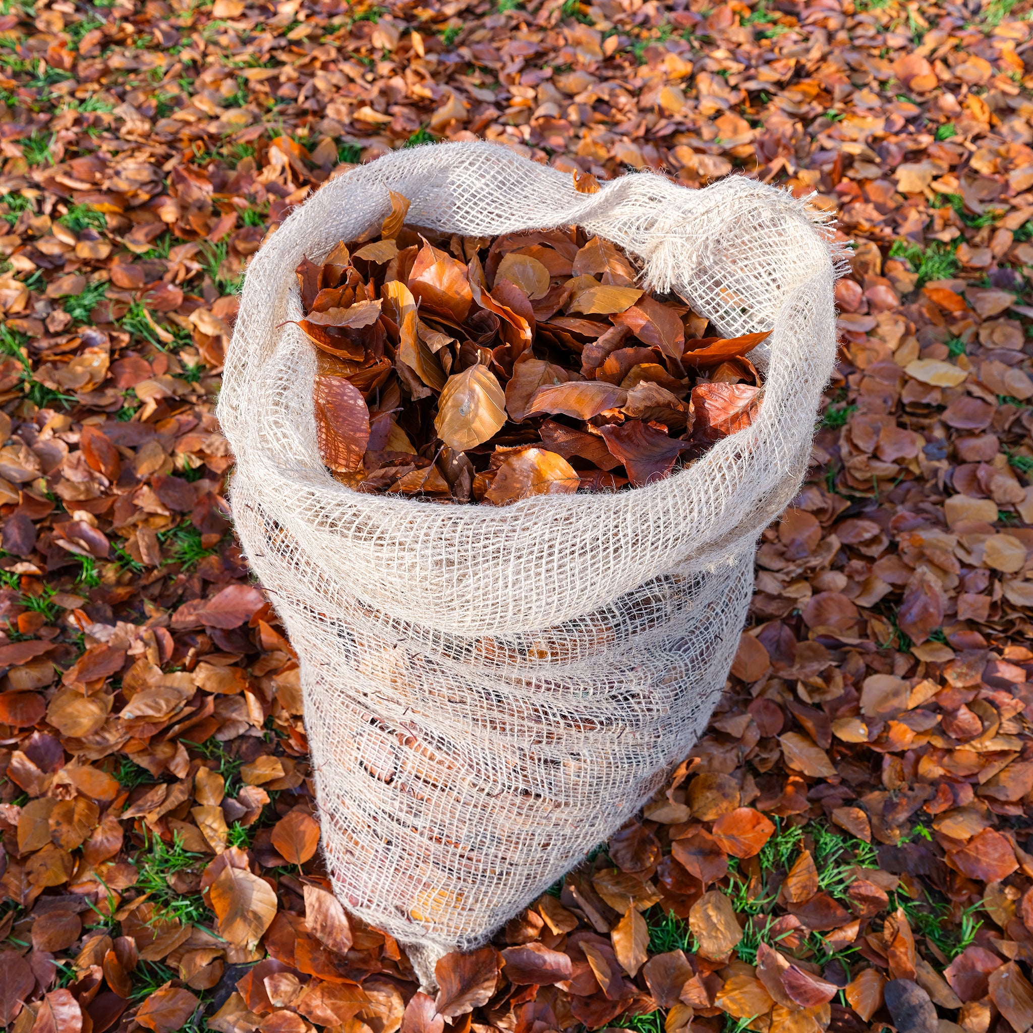 Pack of two jute leaf composting sacks. Use to make high quality mulch for your garden.