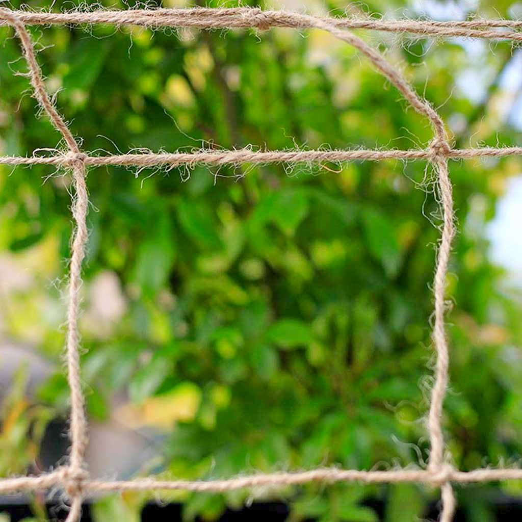 Jute netting outside.