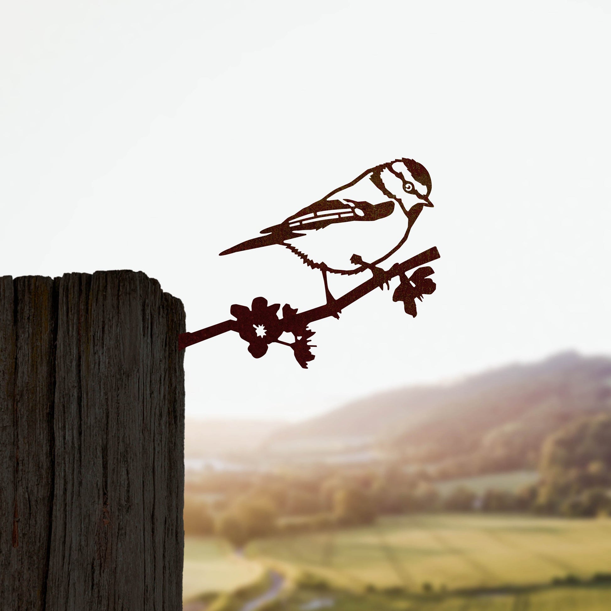 Steel metal bird silhouette and garden ornament in the shape of a blue tit.