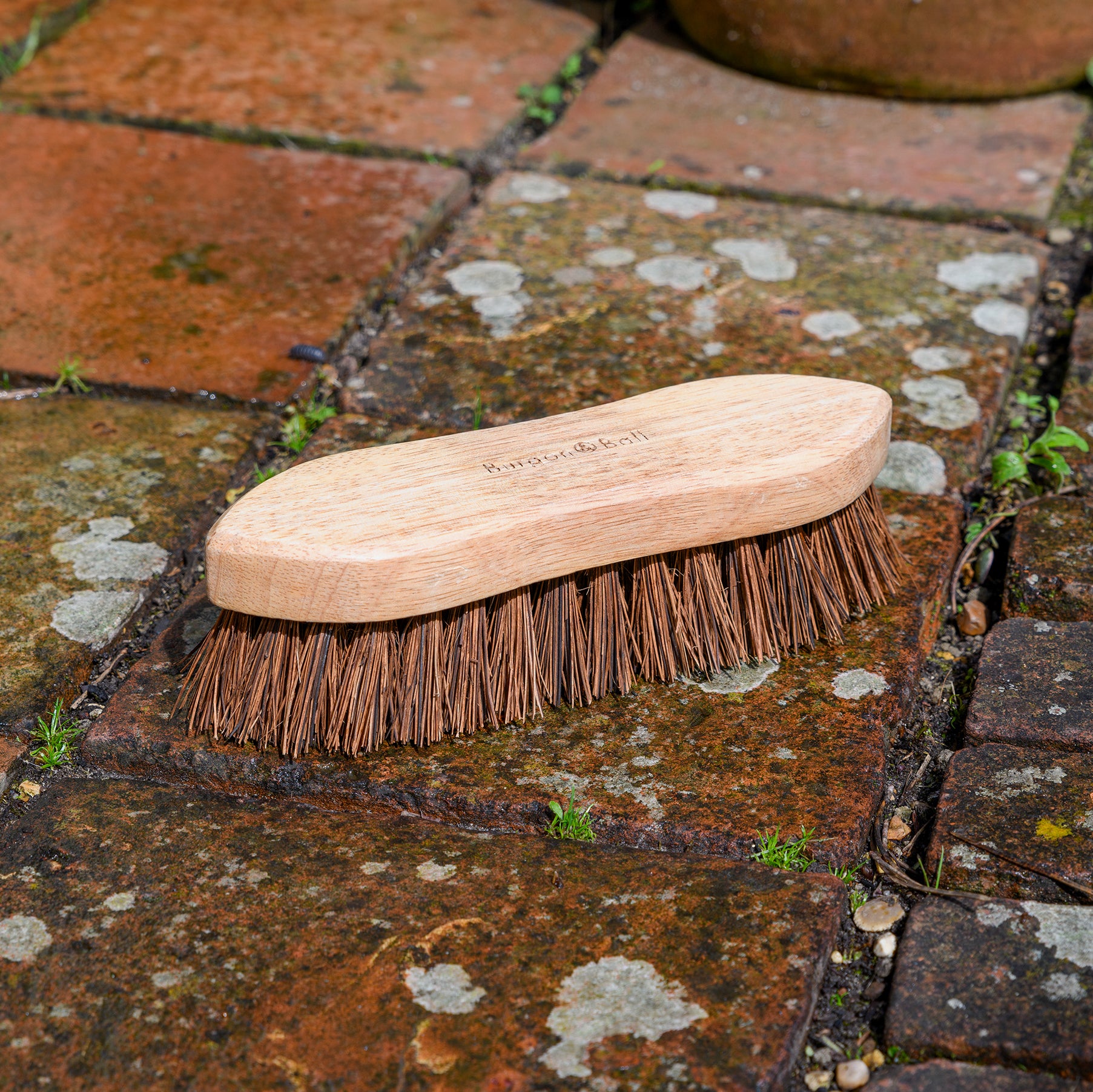 Wooden hand scrubbing brush with natural fibre bristles on paving.