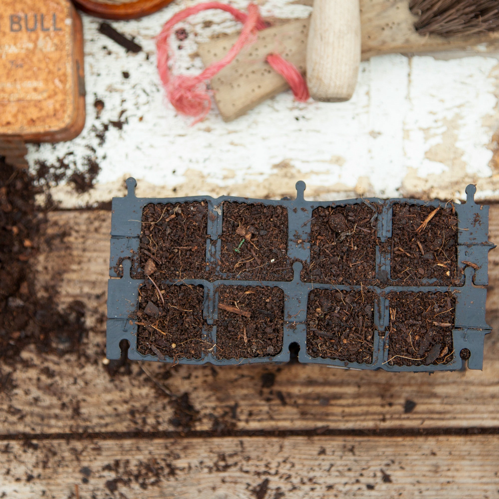 Black, plastic free, eight cell root trainer made of FSC certified, fair trade natural rubber.