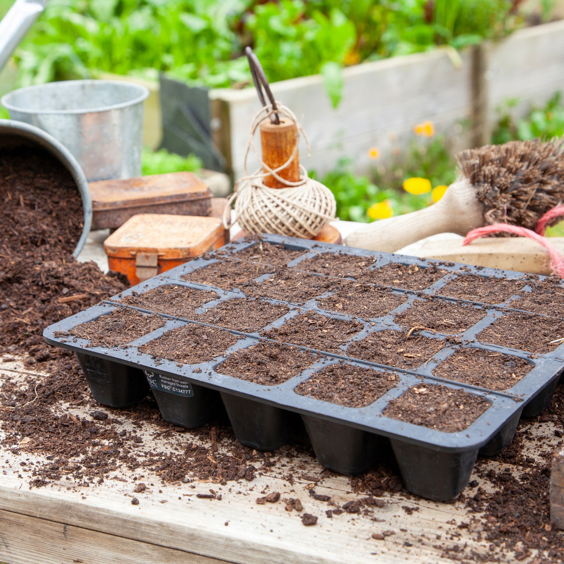 Black, plastic free, twenty cell seed tray made of FSC certified, fair trade natural rubber.