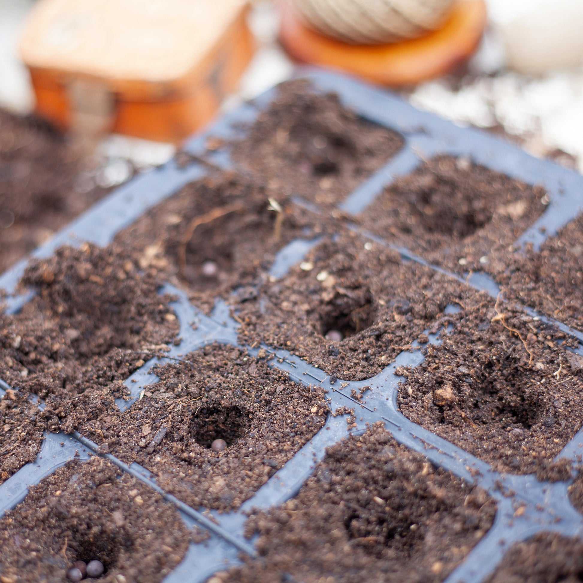Black, plastic free, twenty cell seed tray made of FSC certified, fair trade natural rubber.