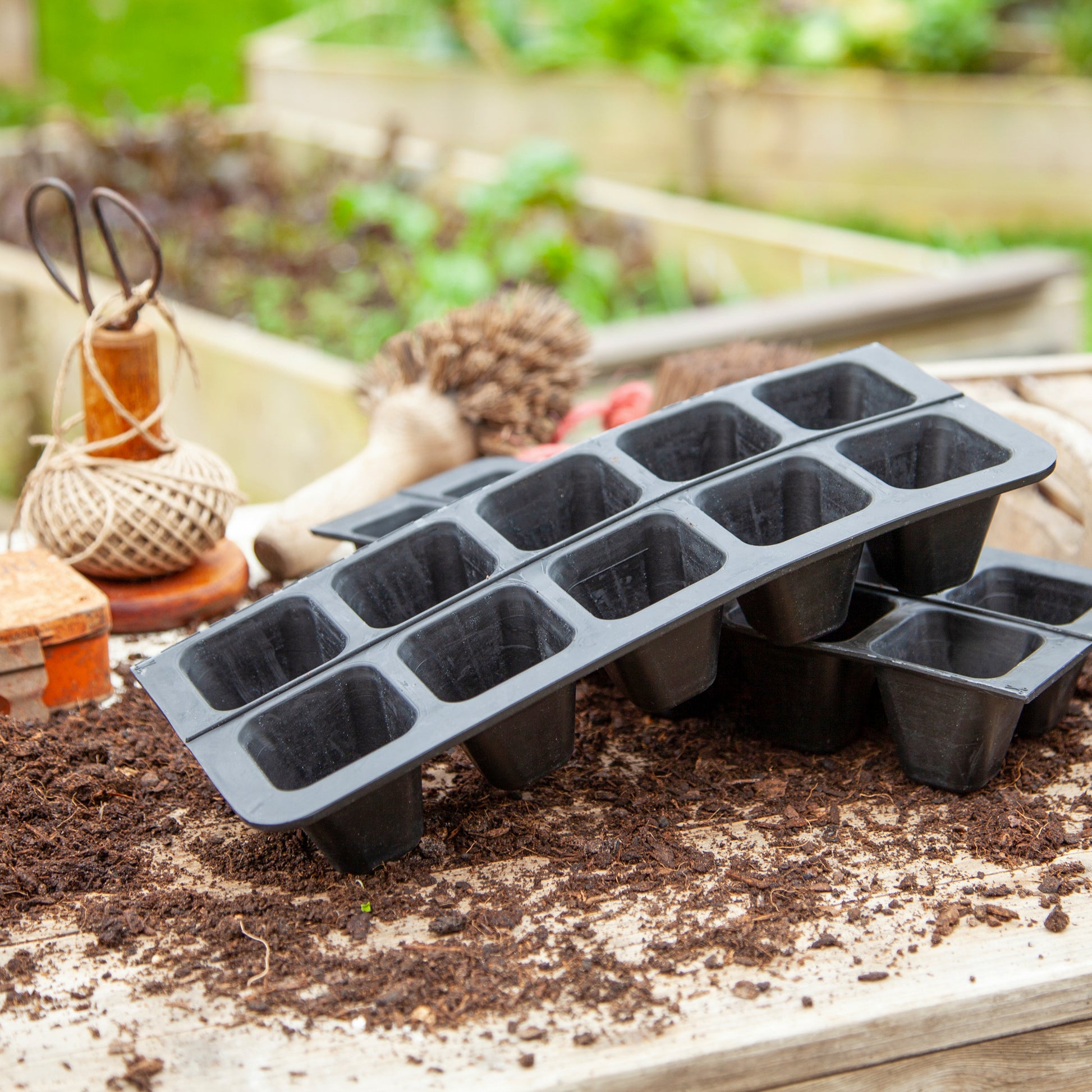 Black, plastic free, twenty cell seed tray made of FSC certified, fair trade natural rubber.